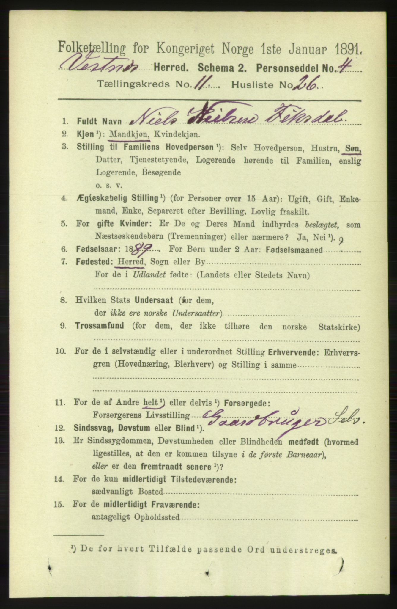 RA, 1891 census for 1535 Vestnes, 1891, p. 4063