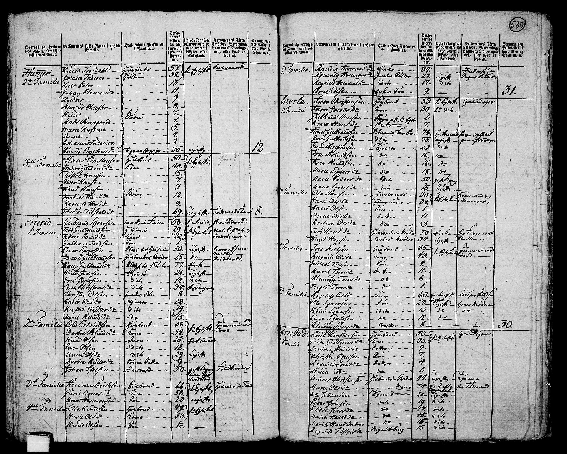 RA, 1801 census for 0515P Vågå, 1801, p. 529b-530a