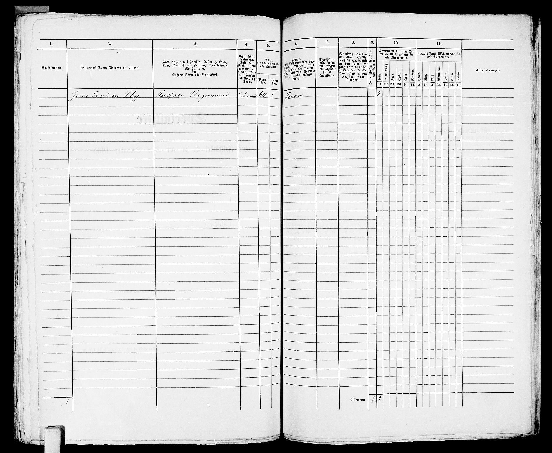 RA, 1865 census for Larvik, 1865, p. 1157