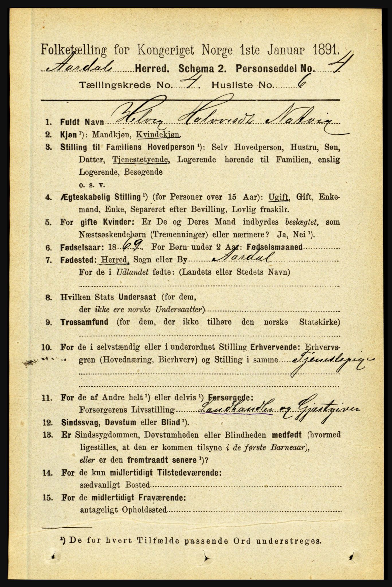 RA, 1891 census for 1424 Årdal, 1891, p. 677