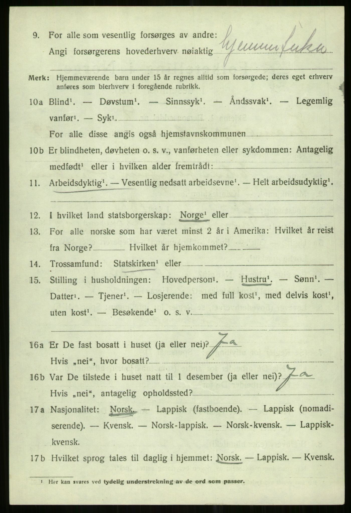 SATØ, 1920 census for Tromsøysund, 1920, p. 13653
