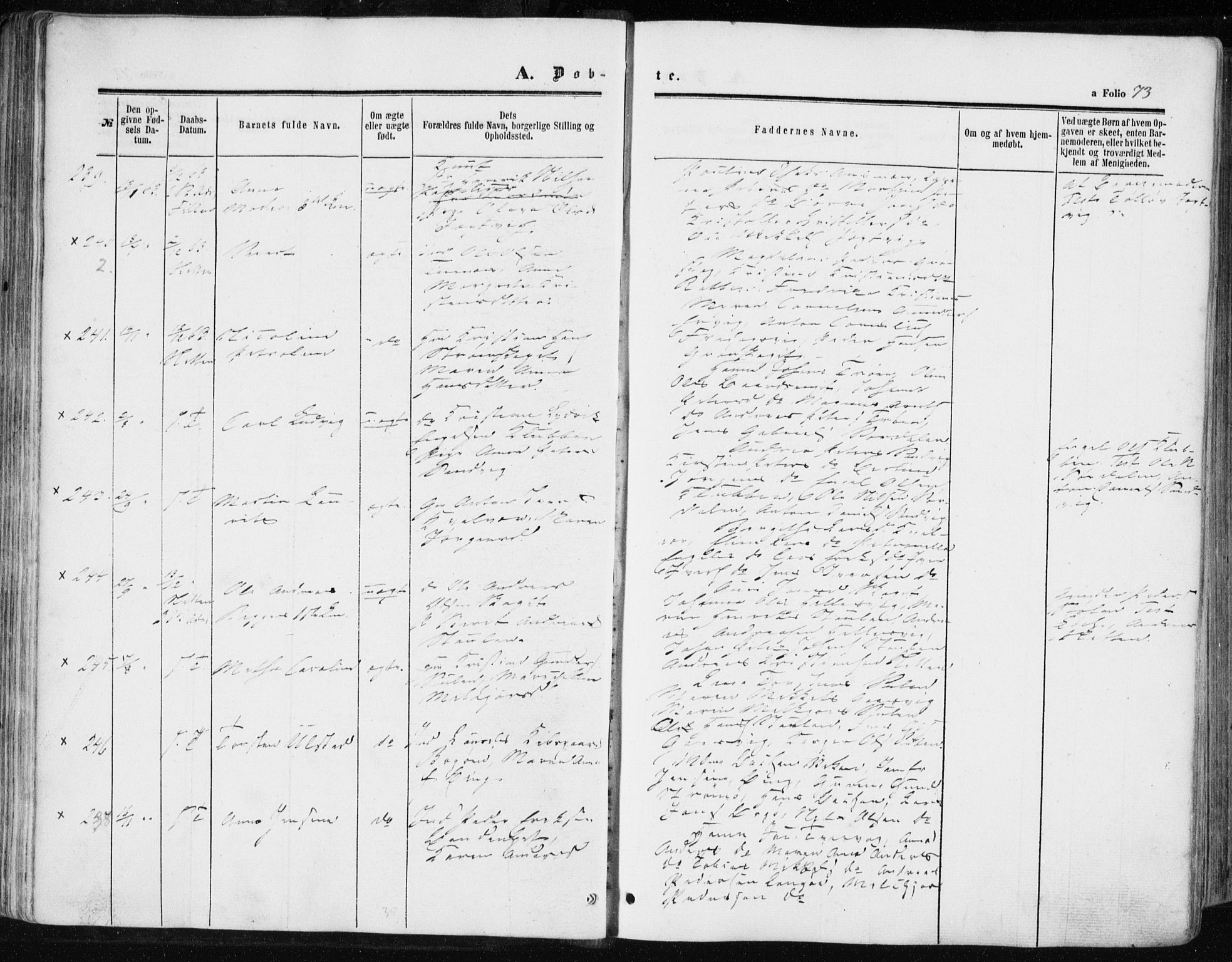 Ministerialprotokoller, klokkerbøker og fødselsregistre - Sør-Trøndelag, AV/SAT-A-1456/634/L0531: Parish register (official) no. 634A07, 1861-1870, p. 73