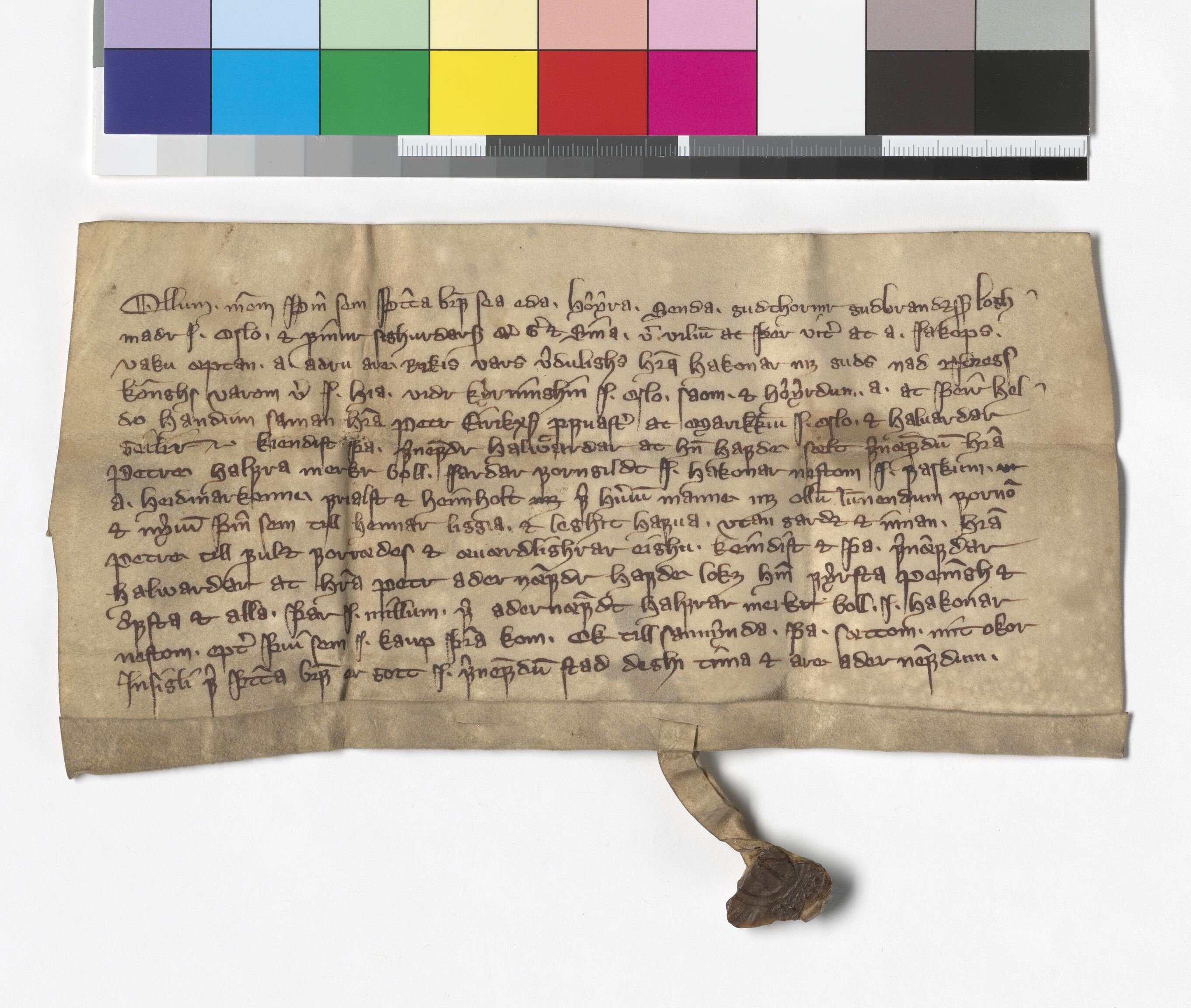 Riksarkivets diplomsamling, AV/RA-EA-5965/F05/L0171: NRA AM fasc. 68 nr. 7 - fasc. 69 nr. 10, 1357-1360, p. 2