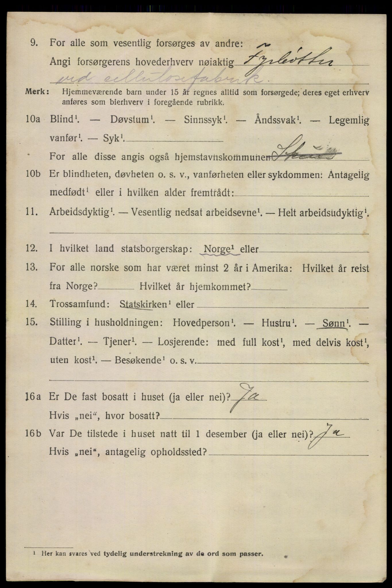 SAKO, 1920 census for Skien, 1920, p. 21805