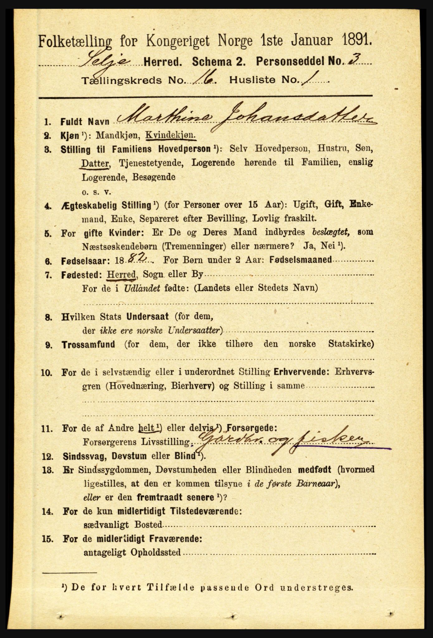 RA, 1891 census for 1441 Selje, 1891, p. 5060