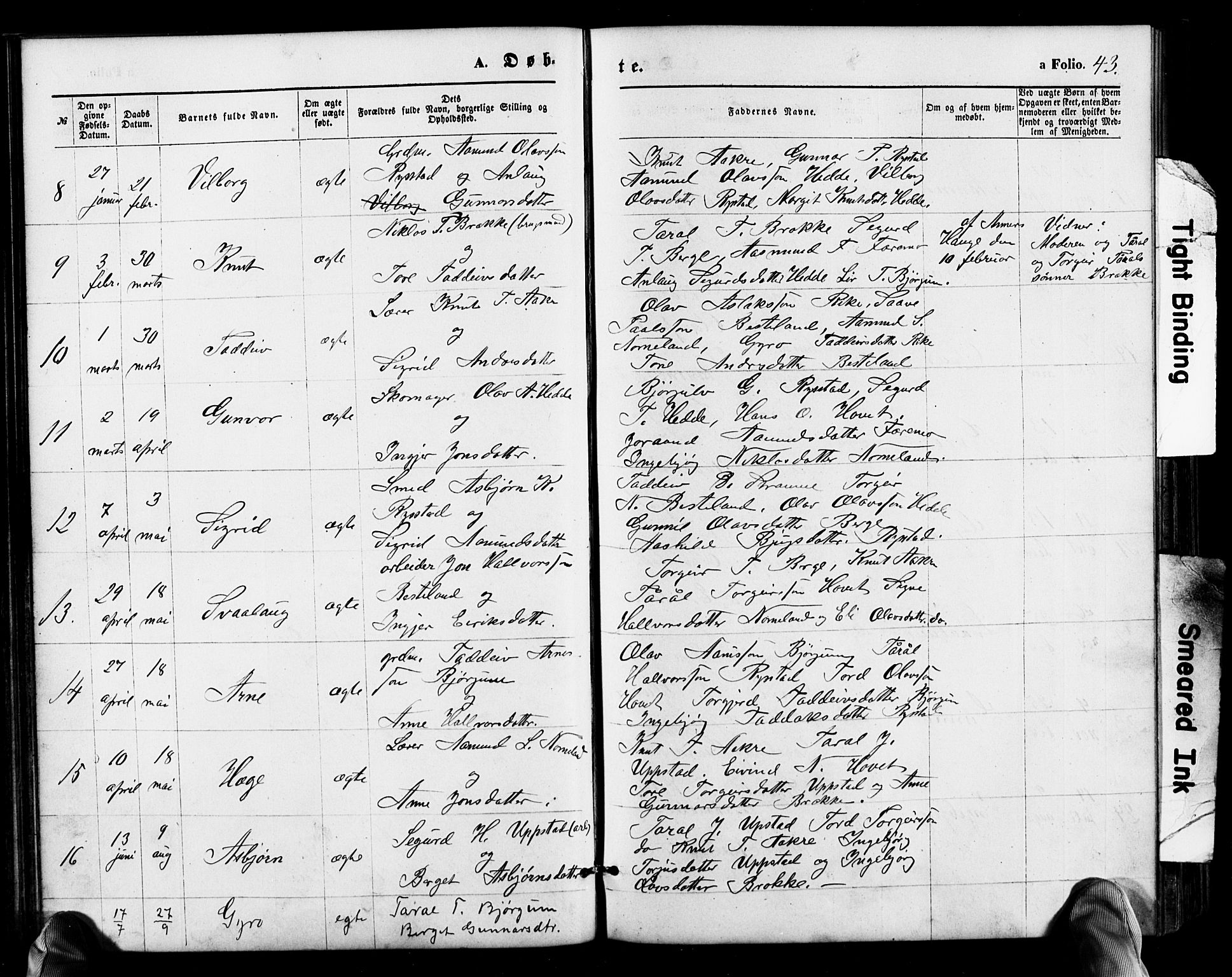 Valle sokneprestkontor, SAK/1111-0044/F/Fb/Fbb/L0002: Parish register (copy) no. B 2, 1875-1921, p. 43