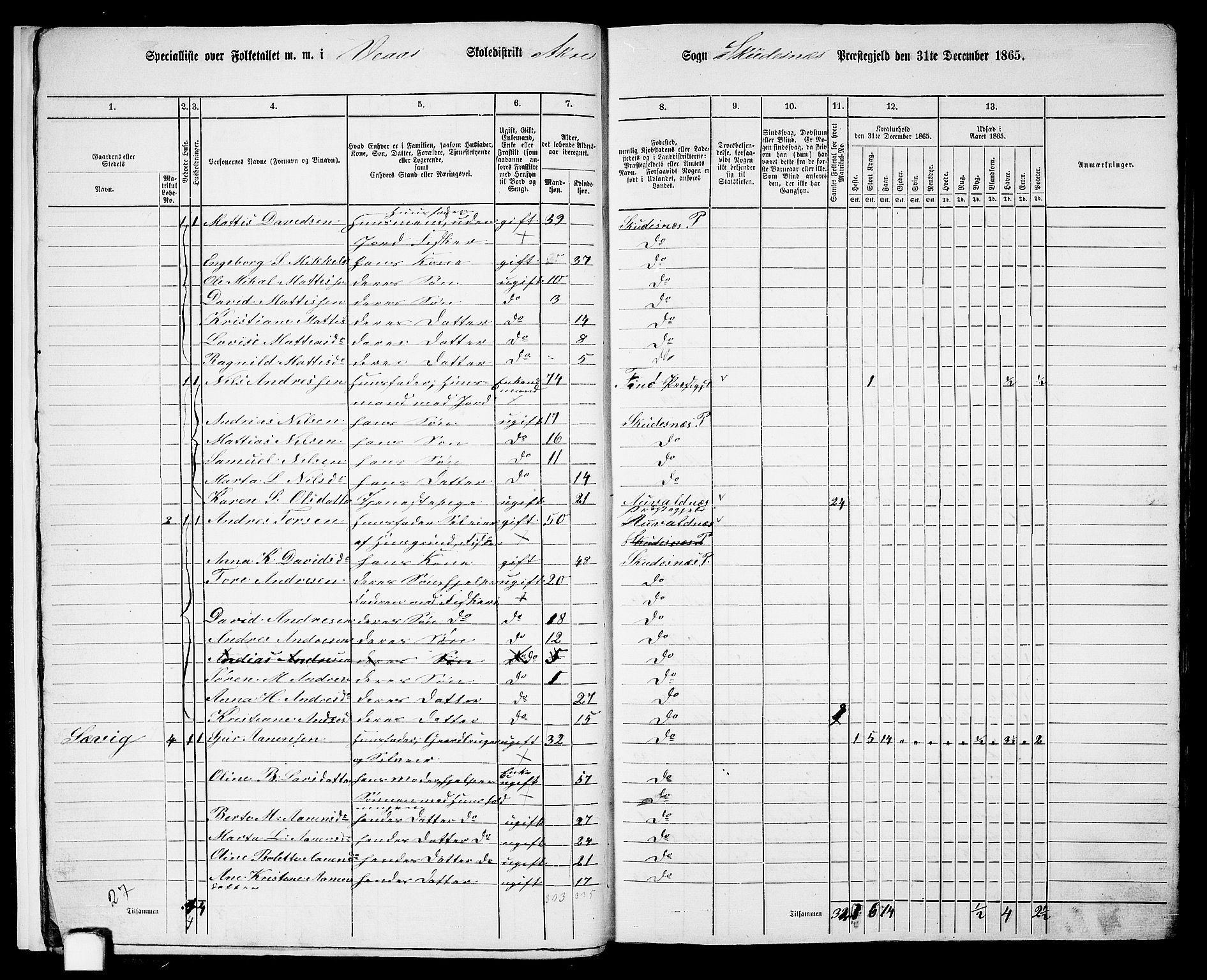 RA, 1865 census for Skudenes, 1865, p. 14