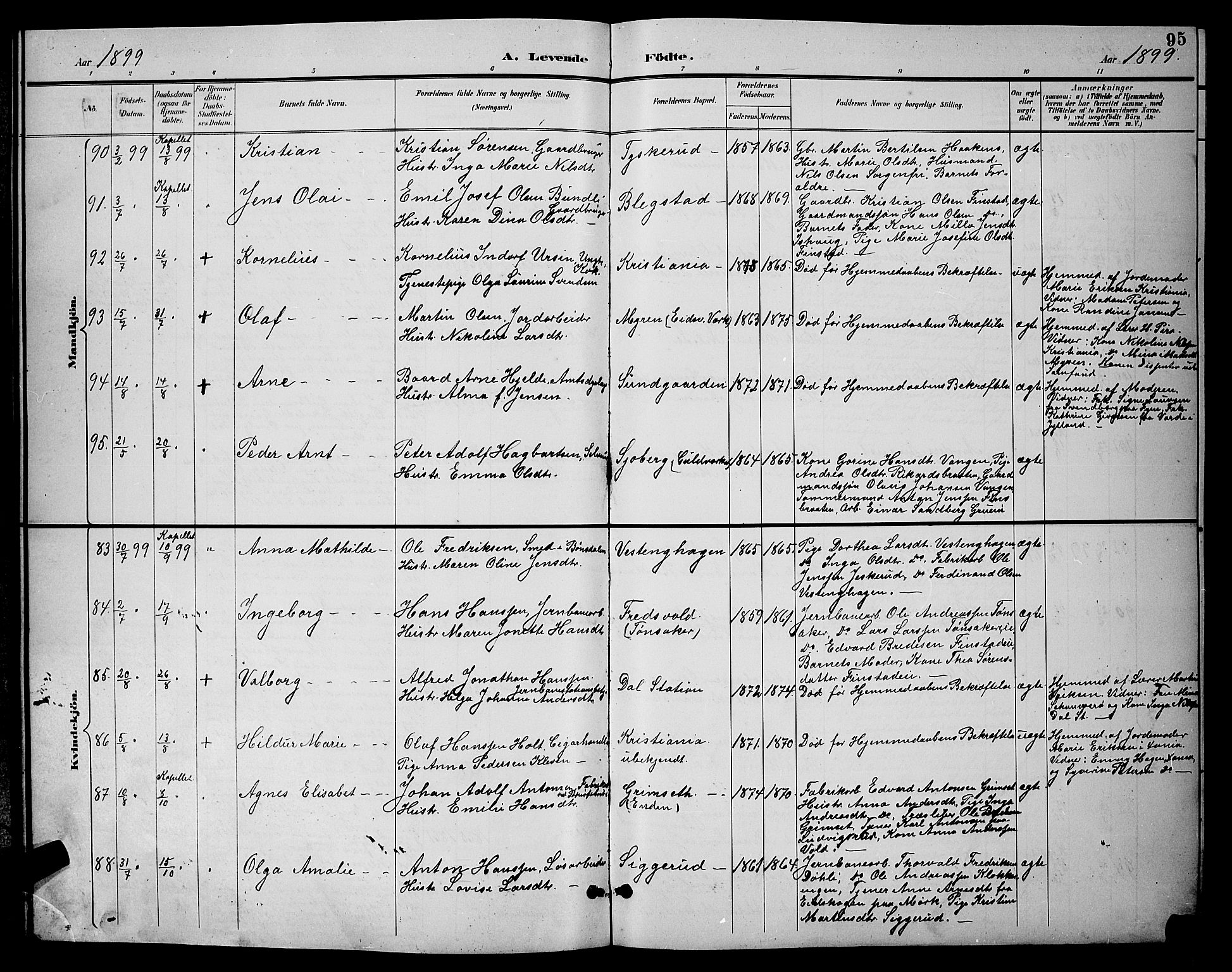 Eidsvoll prestekontor Kirkebøker, AV/SAO-A-10888/G/Ga/L0006: Parish register (copy) no. I 6, 1895-1901, p. 95