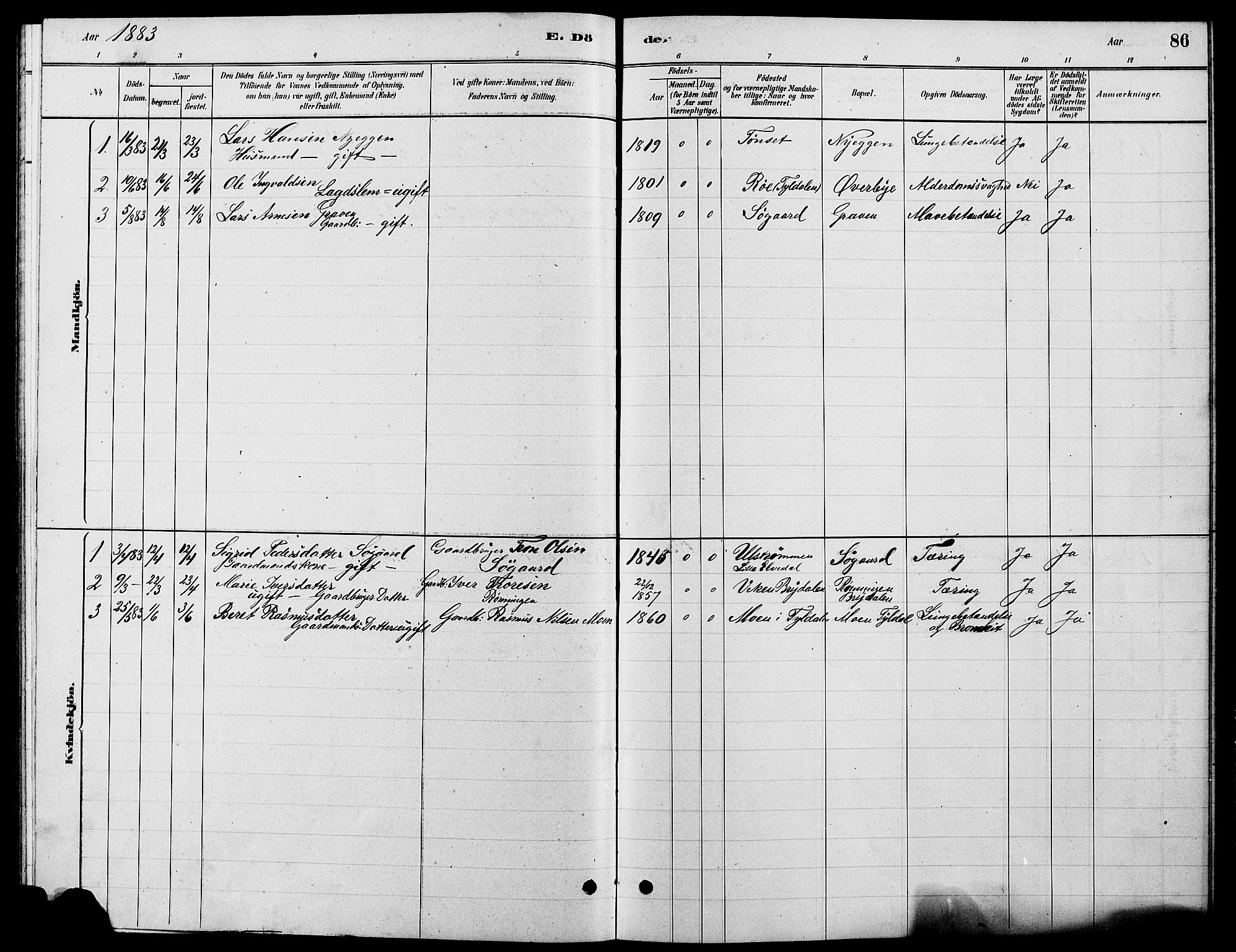 Tynset prestekontor, SAH/PREST-058/H/Ha/Hab/L0007: Parish register (copy) no. 7, 1880-1901, p. 86