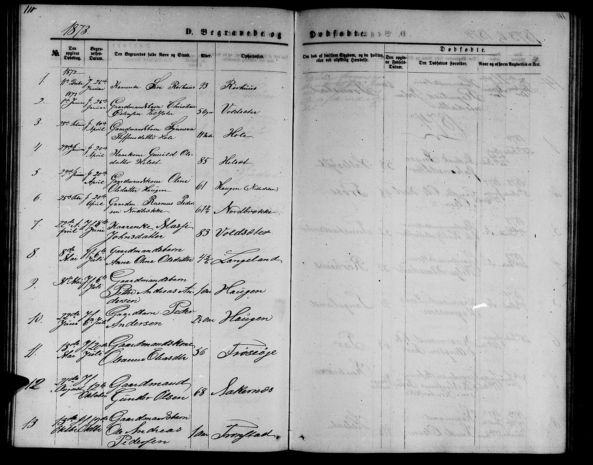 Ministerialprotokoller, klokkerbøker og fødselsregistre - Møre og Romsdal, SAT/A-1454/517/L0229: Parish register (copy) no. 517C02, 1864-1879, p. 110