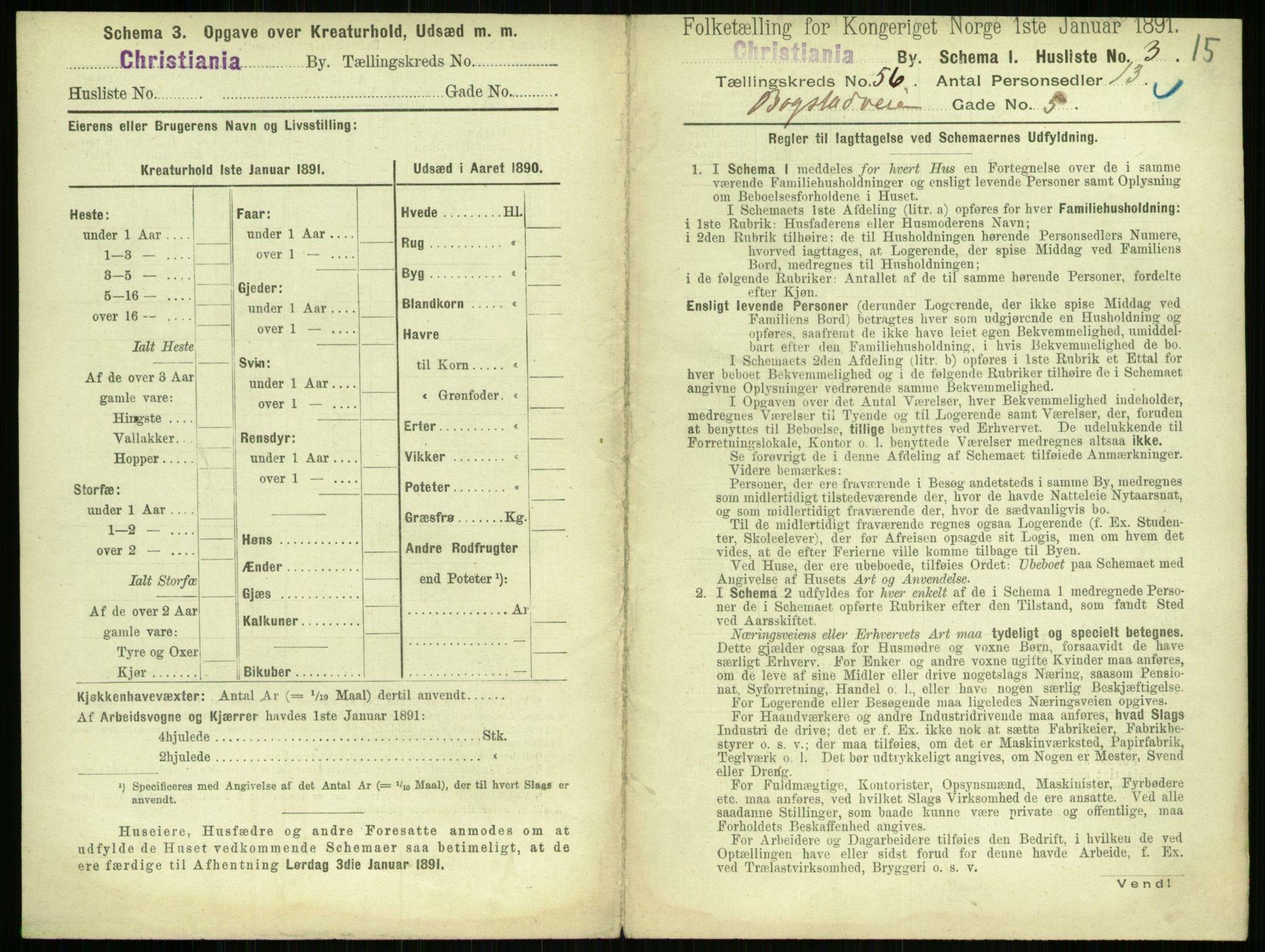 RA, 1891 census for 0301 Kristiania, 1891, p. 30196