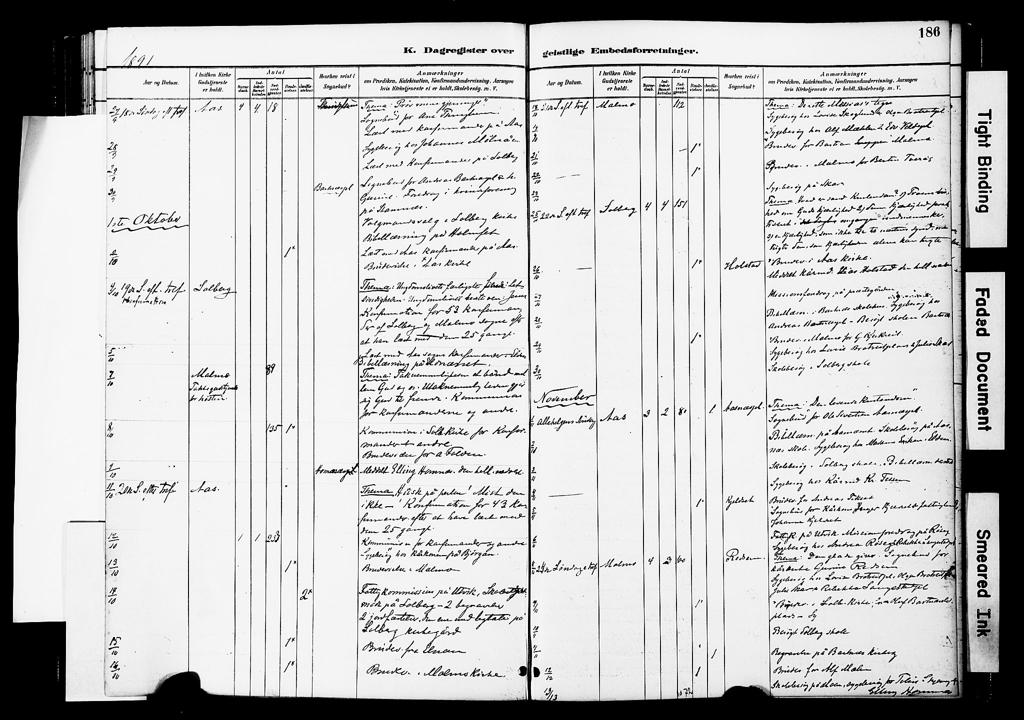 Ministerialprotokoller, klokkerbøker og fødselsregistre - Nord-Trøndelag, AV/SAT-A-1458/741/L0396: Parish register (official) no. 741A10, 1889-1901, p. 186