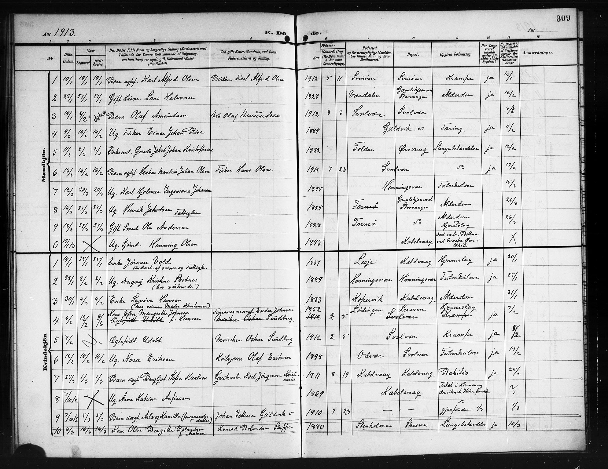 Ministerialprotokoller, klokkerbøker og fødselsregistre - Nordland, SAT/A-1459/874/L1079: Parish register (copy) no. 874C08, 1907-1915, p. 309