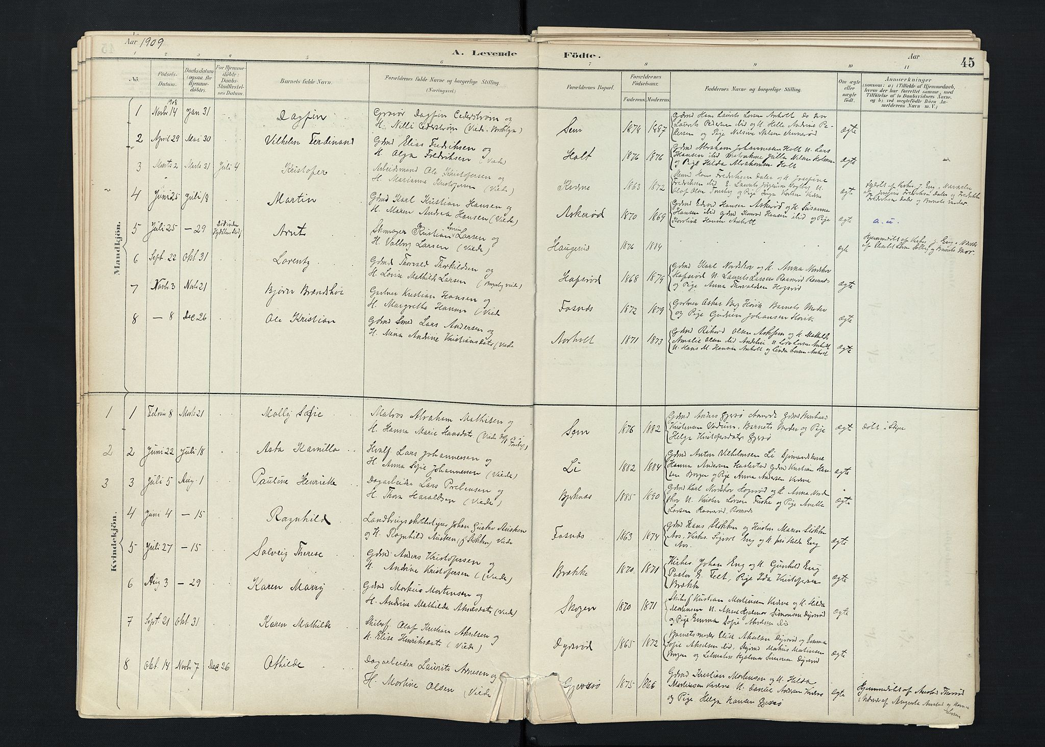 Stokke kirkebøker, SAKO/A-320/F/Fc/L0001: Parish register (official) no. III 1, 1884-1910, p. 45