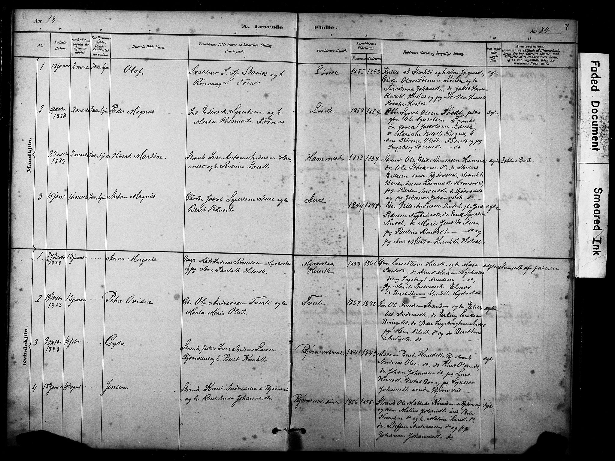 Ministerialprotokoller, klokkerbøker og fødselsregistre - Møre og Romsdal, AV/SAT-A-1454/565/L0755: Parish register (copy) no. 565C04, 1883-1903, p. 7