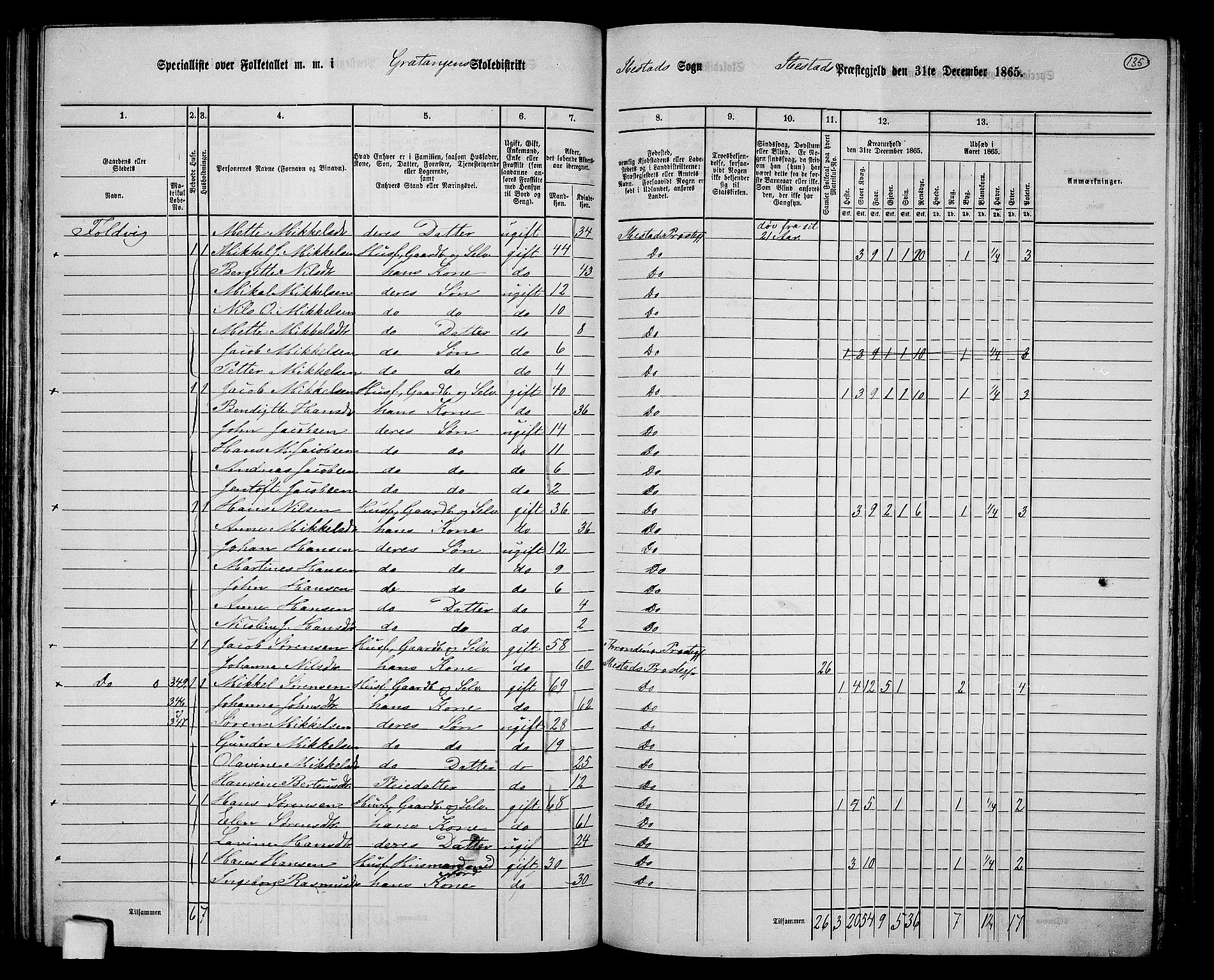 RA, 1865 census for Ibestad, 1865, p. 128