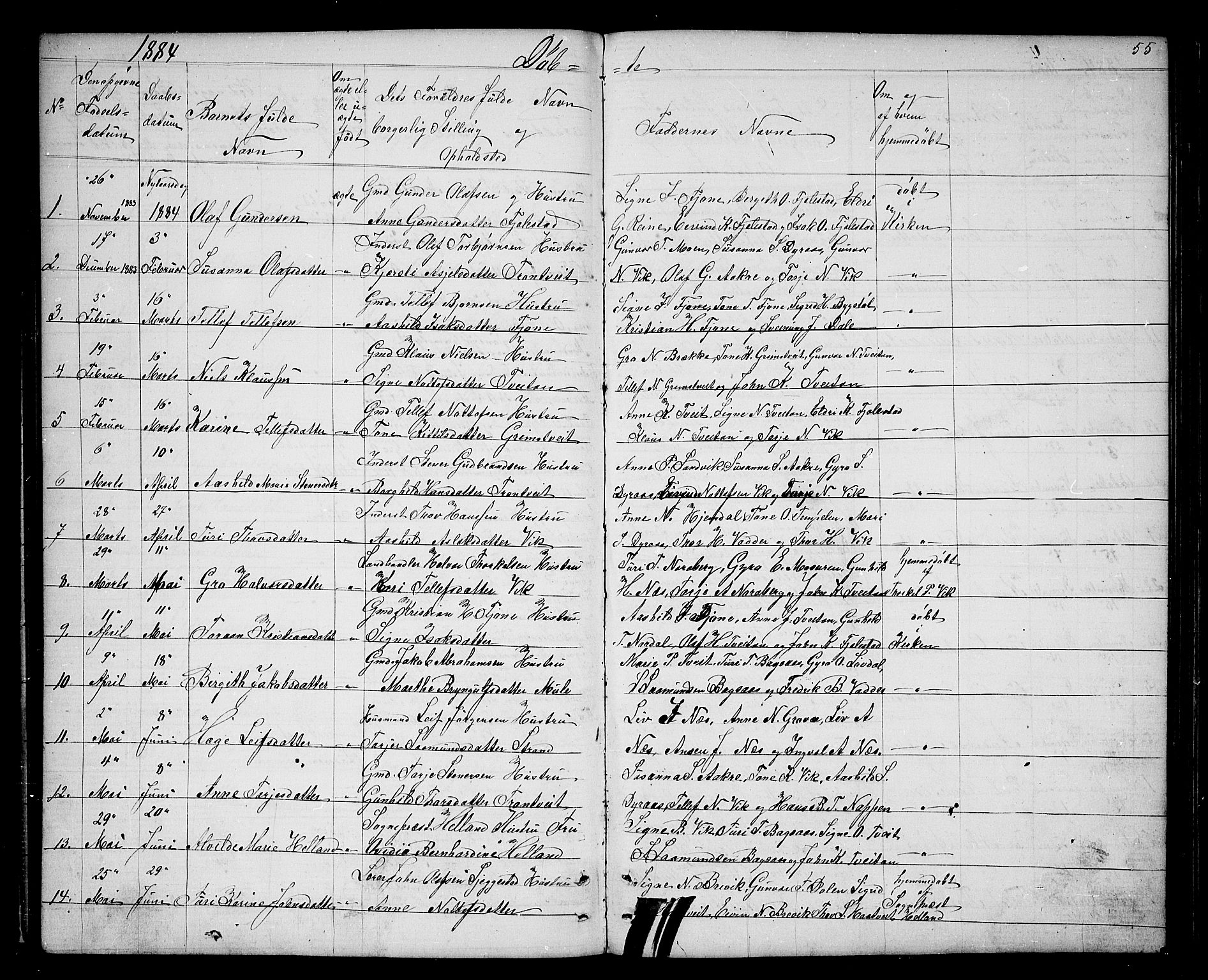 Nissedal kirkebøker, SAKO/A-288/G/Ga/L0002: Parish register (copy) no. I 2, 1861-1887, p. 55