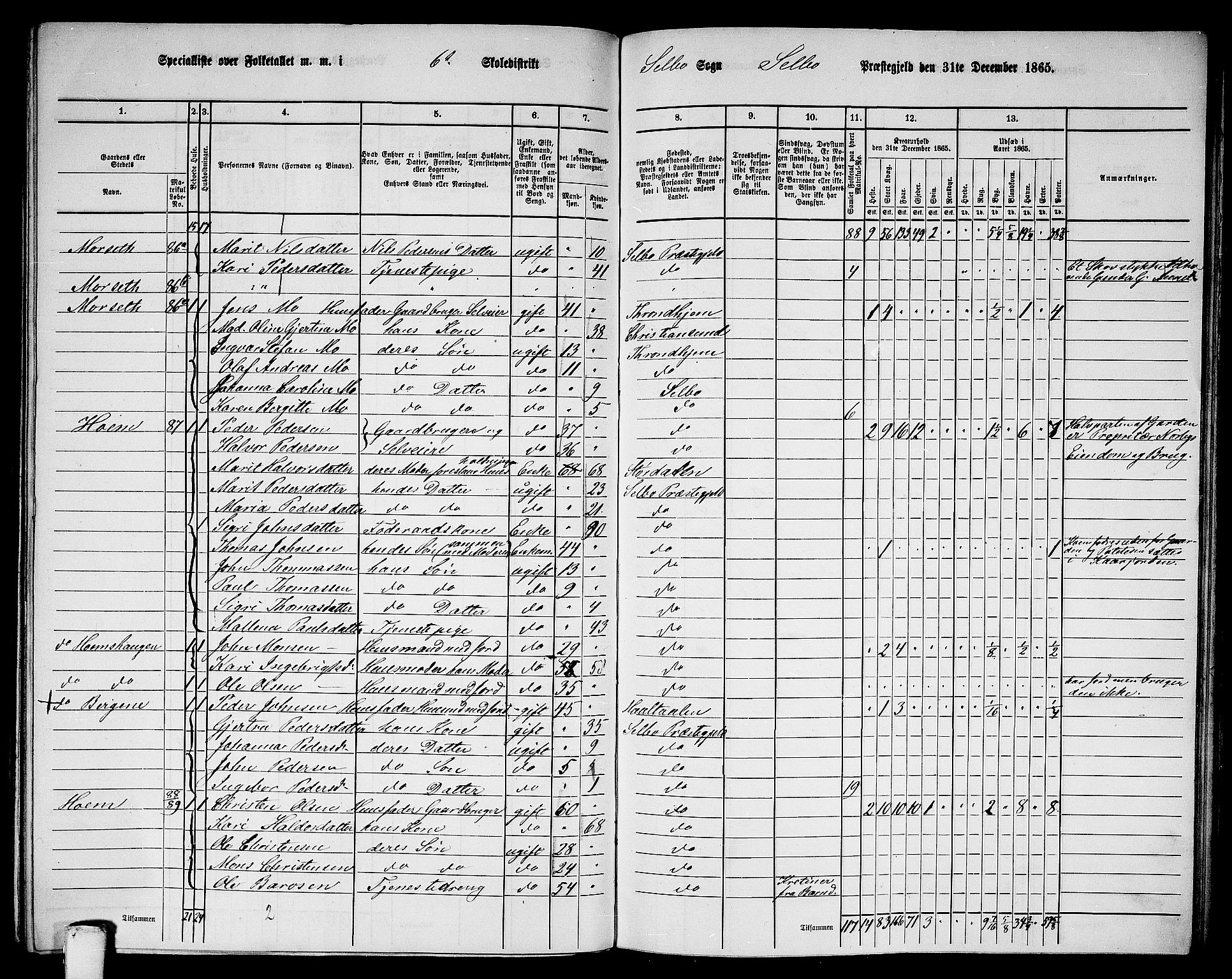 RA, 1865 census for Selbu, 1865, p. 107