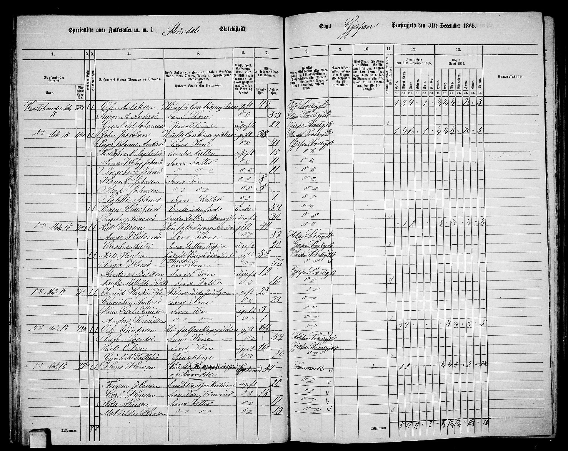 RA, 1865 census for Gjerpen, 1865, p. 37