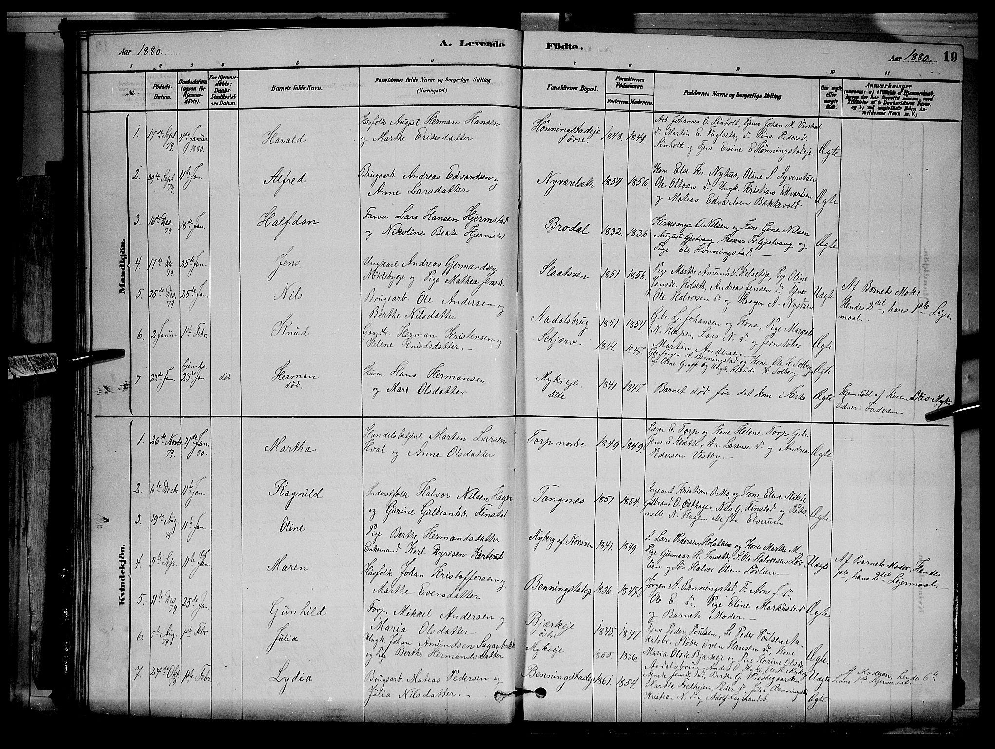 Løten prestekontor, SAH/PREST-022/L/La/L0005: Parish register (copy) no. 5, 1878-1891, p. 19