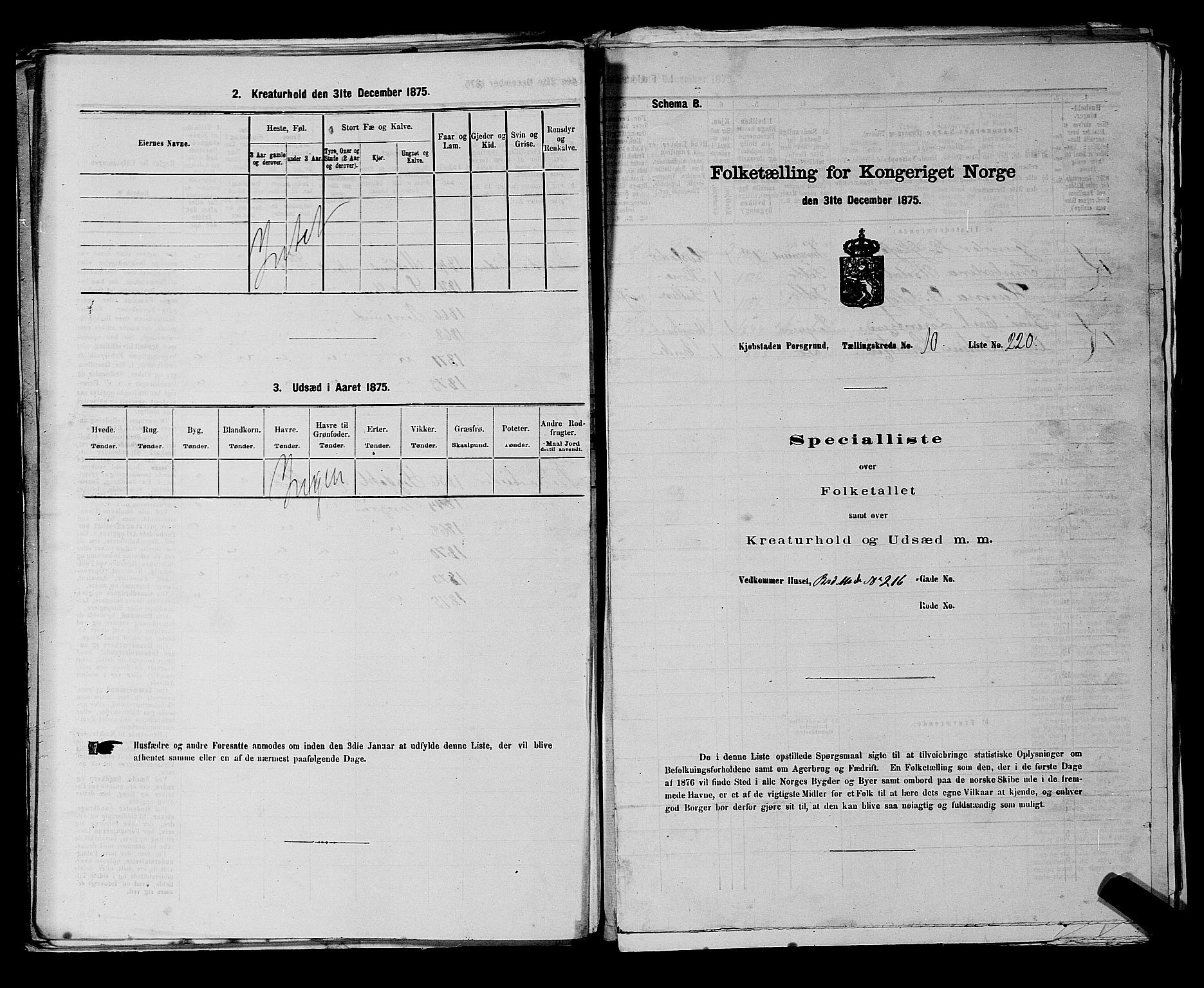 SAKO, 1875 census for 0805P Porsgrunn, 1875, p. 508