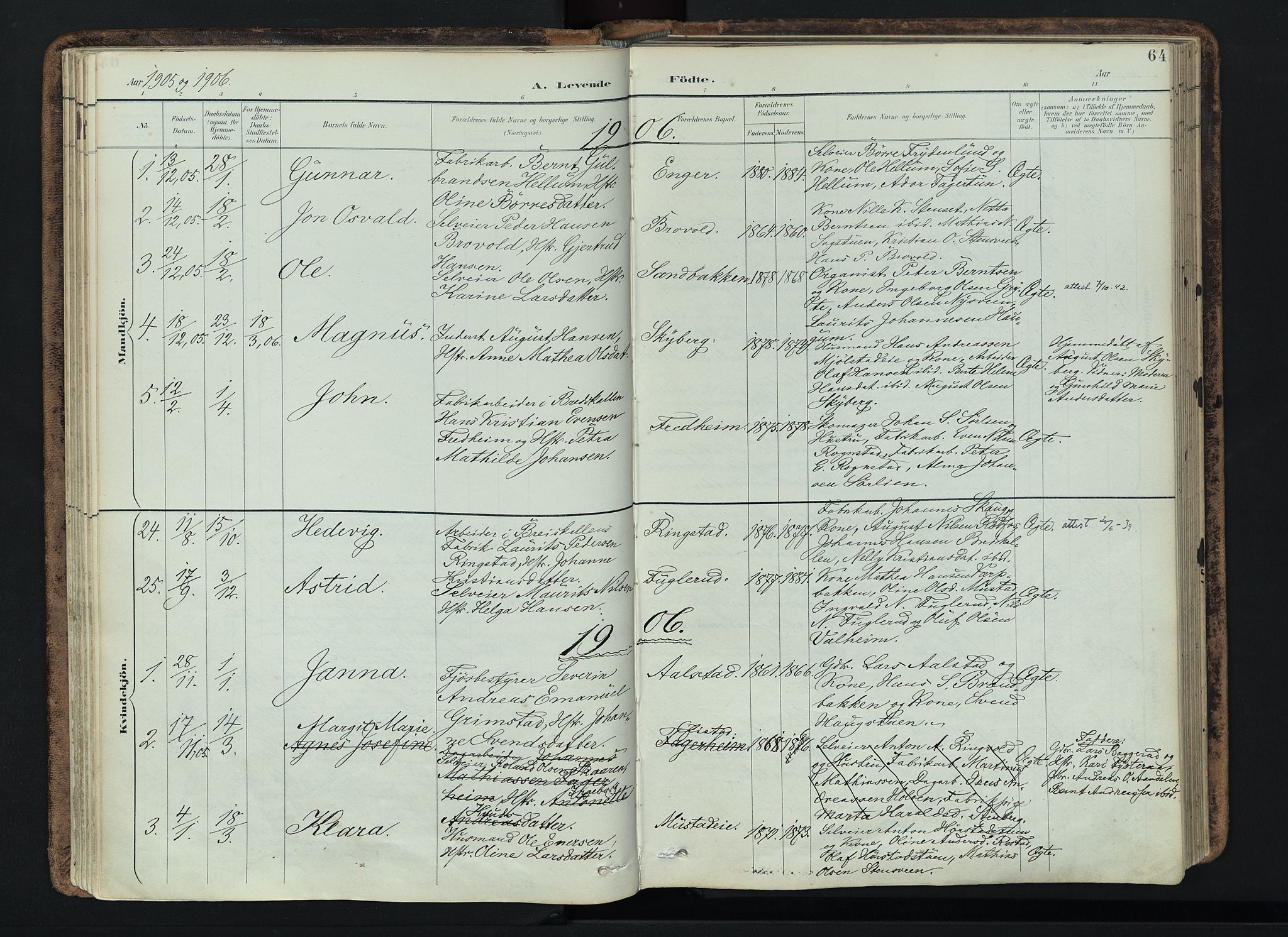 Vardal prestekontor, SAH/PREST-100/H/Ha/Haa/L0019: Parish register (official) no. 19, 1893-1907, p. 64