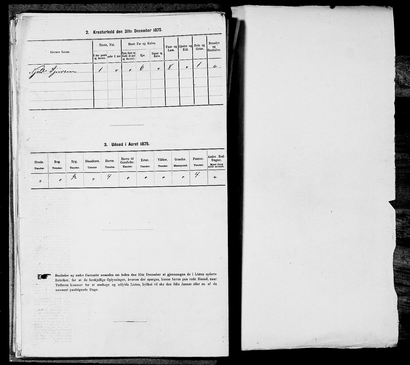 SAST, 1875 census for 1147L Avaldsnes/Avaldsnes og Kopervik, 1875, p. 1100