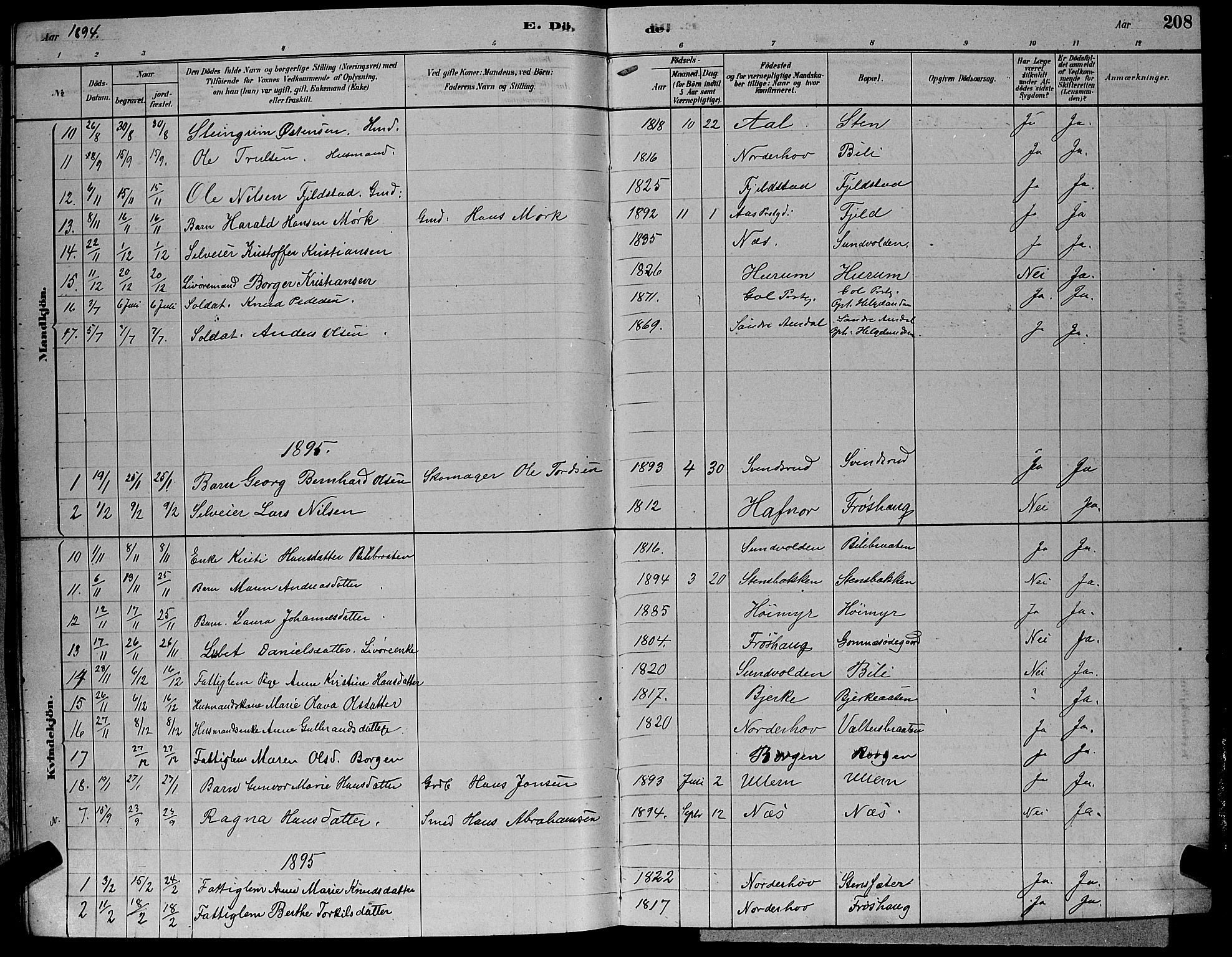 Hole kirkebøker, SAKO/A-228/G/Ga/L0003: Parish register (copy) no. I 3, 1879-1904, p. 208