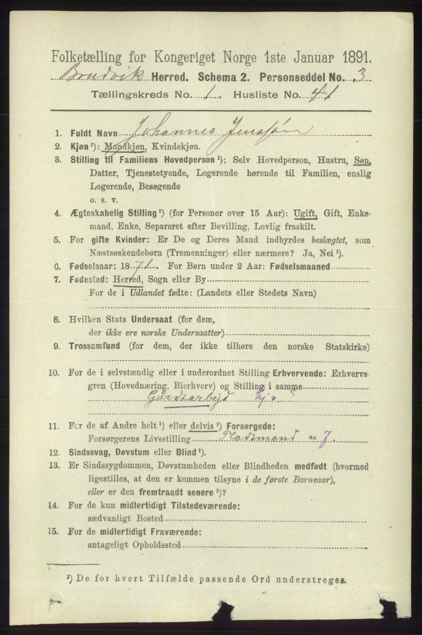 RA, 1891 census for 1251 Bruvik, 1891, p. 378
