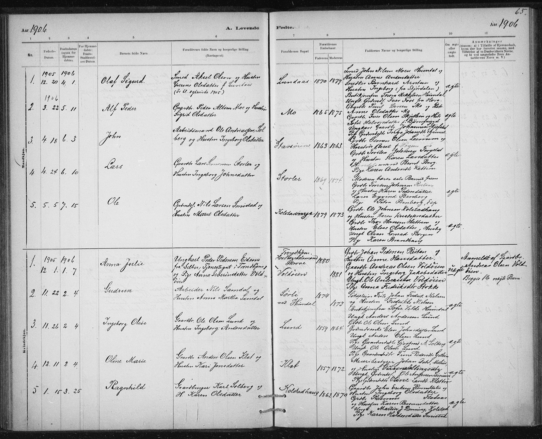 Ministerialprotokoller, klokkerbøker og fødselsregistre - Sør-Trøndelag, AV/SAT-A-1456/613/L0392: Parish register (official) no. 613A01, 1887-1906, p. 65