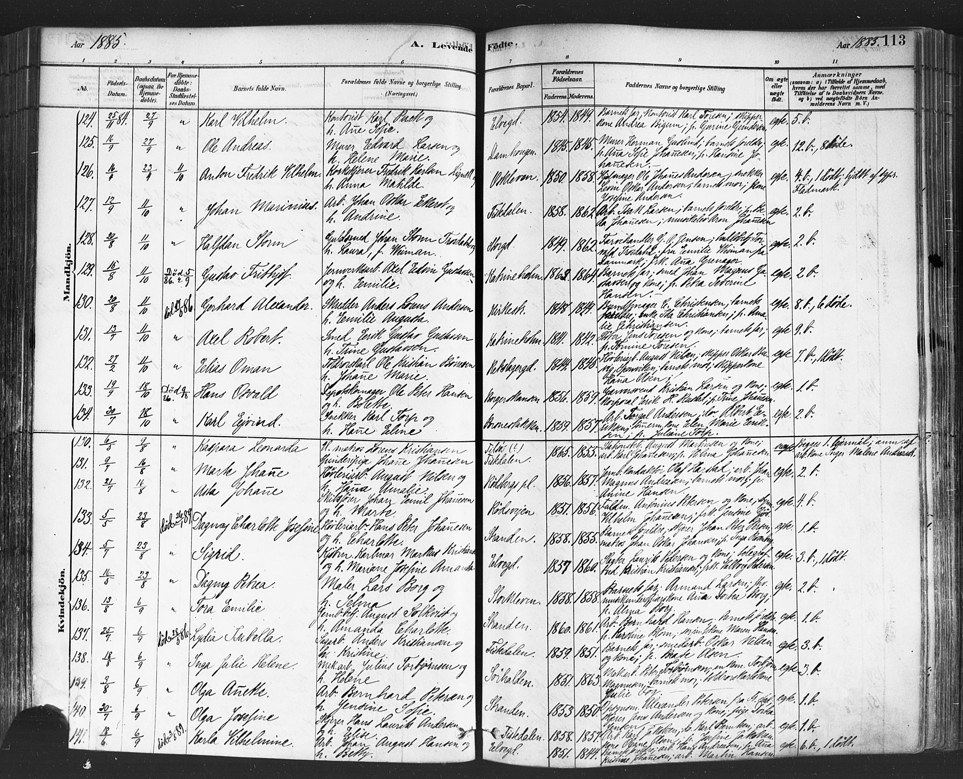 Halden prestekontor Kirkebøker, SAO/A-10909/F/Fa/L0011: Parish register (official) no. I 11, 1878-1889, p. 113