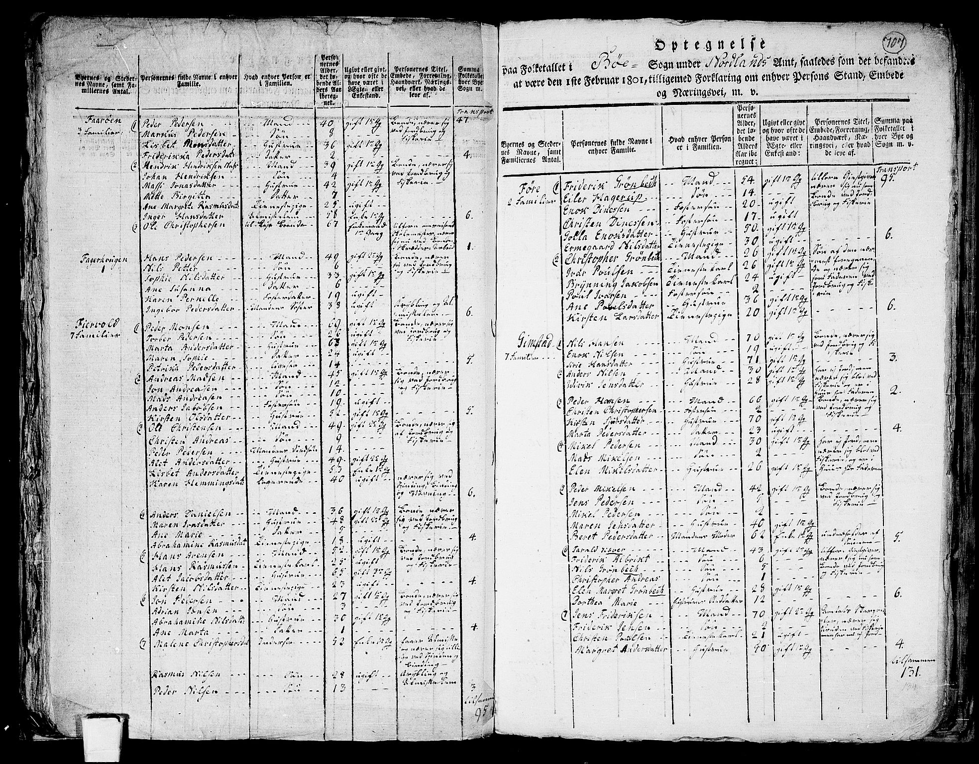 RA, 1801 census for 1867P Bø, 1801, p. 706b-707a