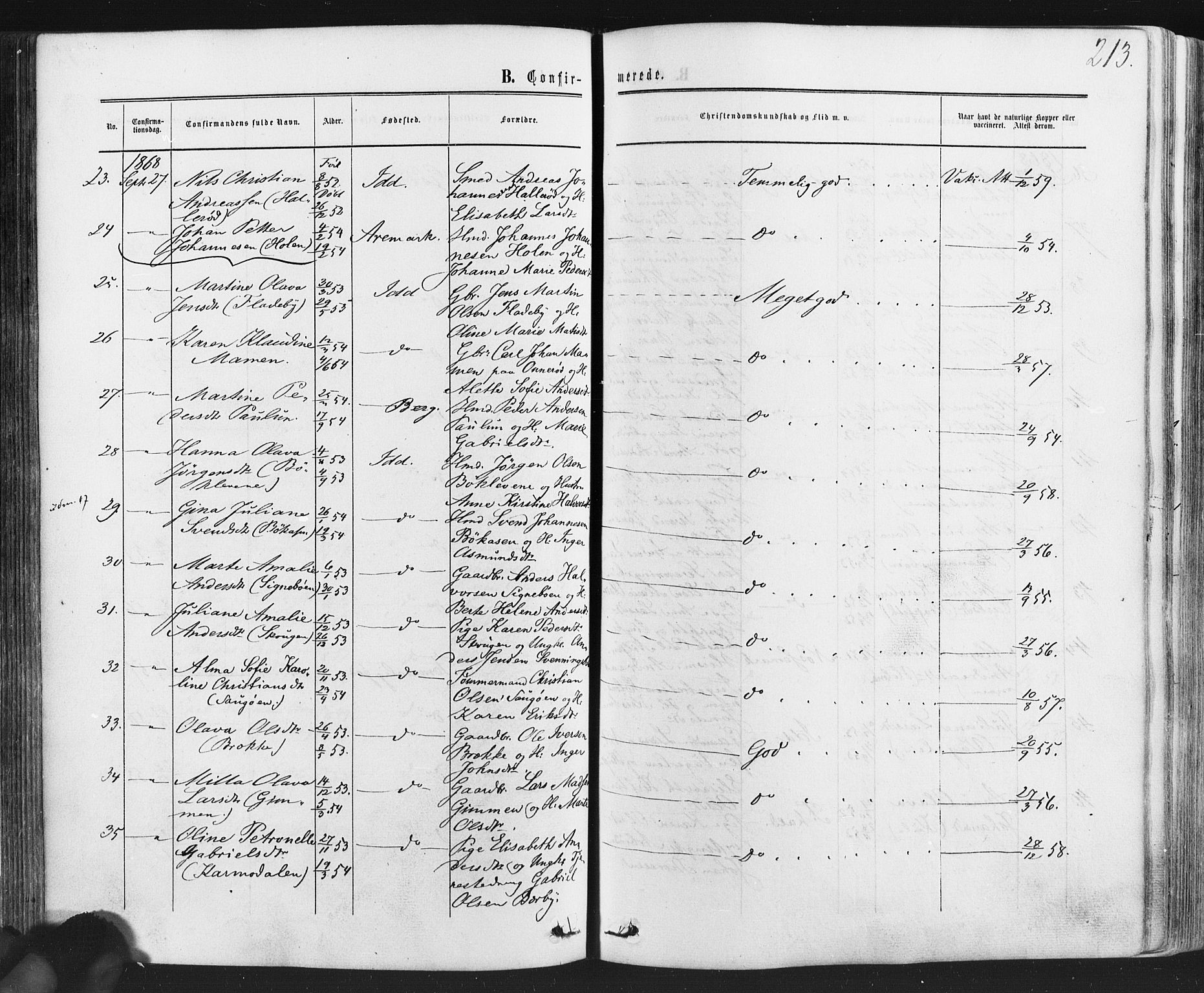 Idd prestekontor Kirkebøker, SAO/A-10911/F/Fc/L0005: Parish register (official) no. III 5, 1861-1877, p. 213