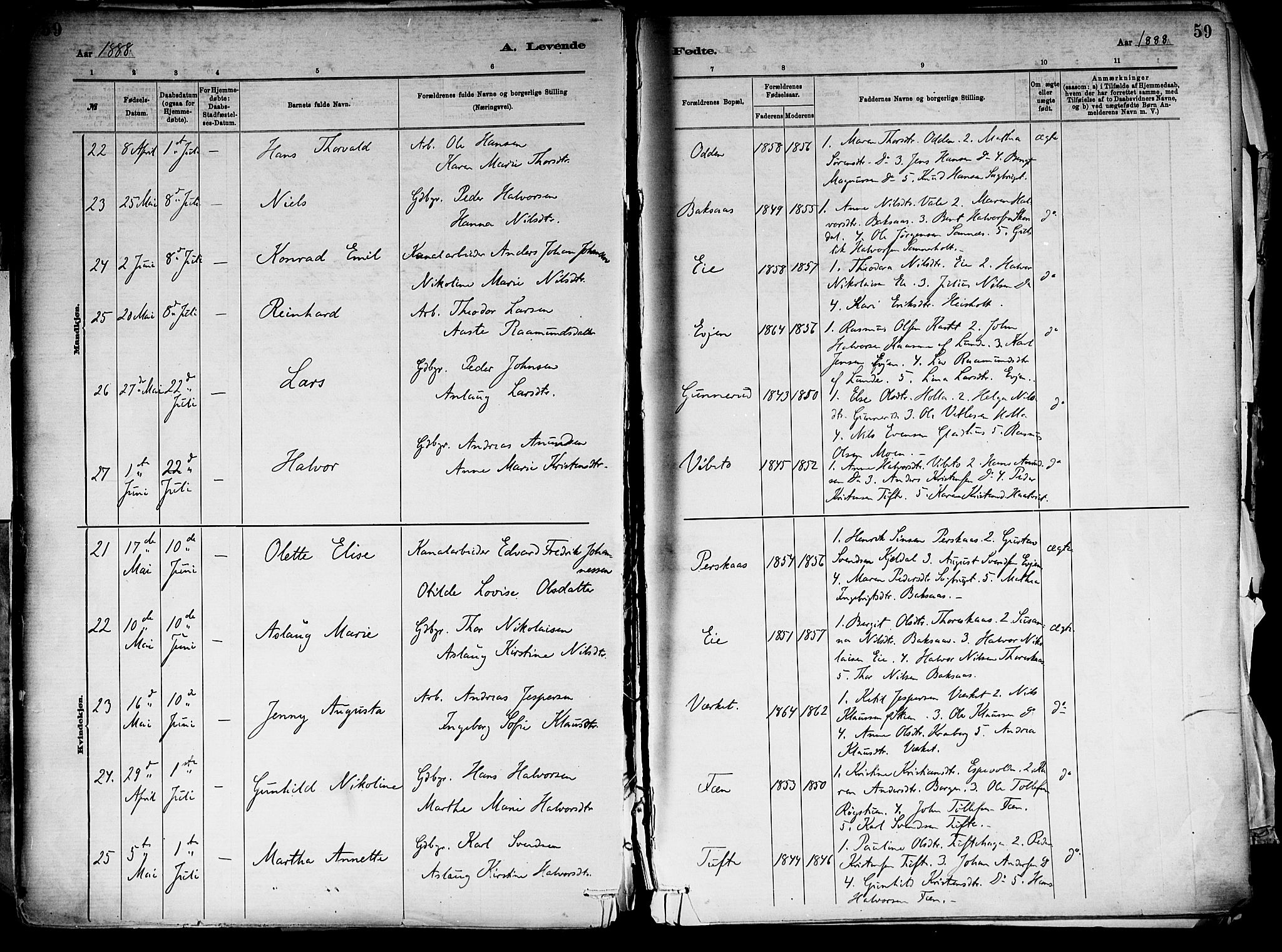 Holla kirkebøker, AV/SAKO-A-272/F/Fa/L0008: Parish register (official) no. 8, 1882-1897, p. 59