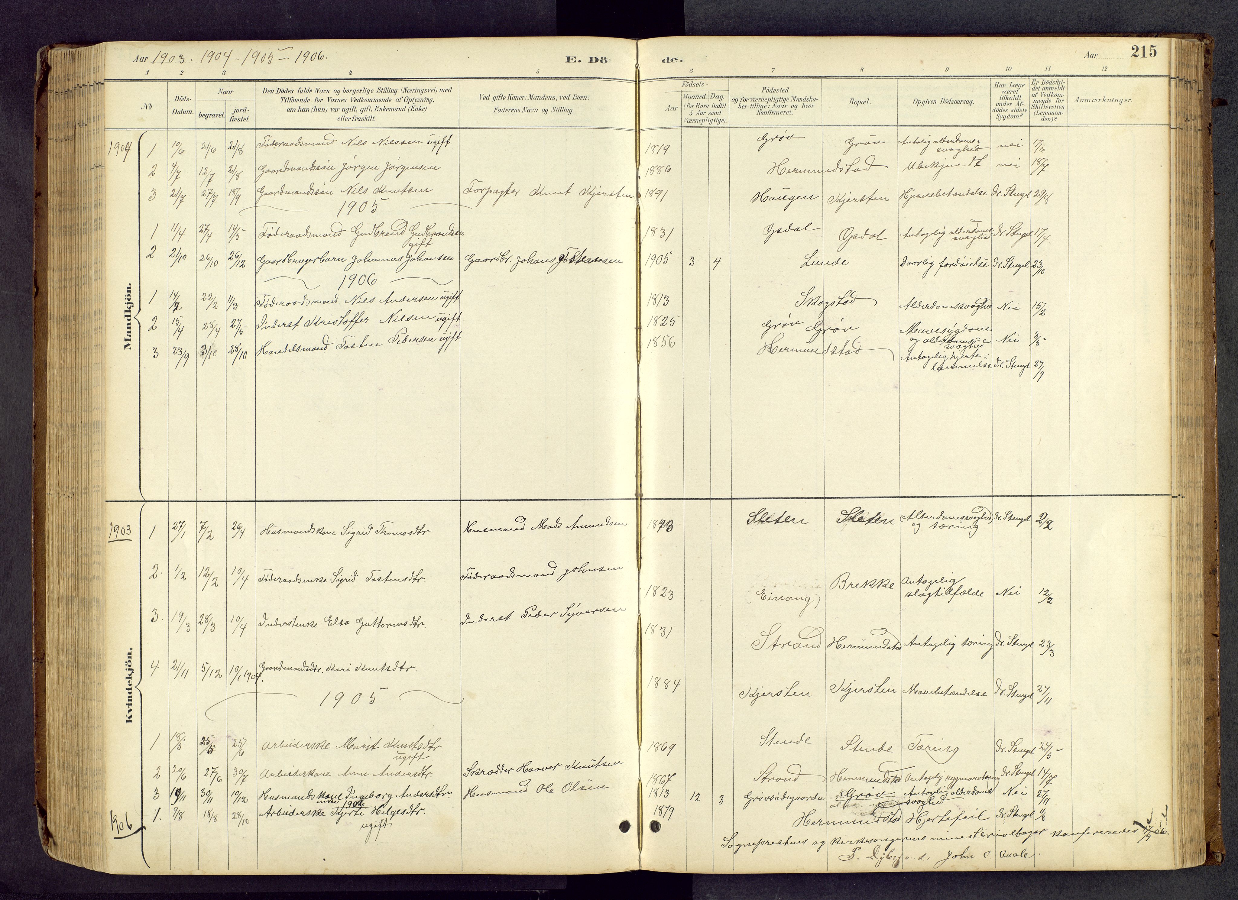 Vang prestekontor, Valdres, SAH/PREST-140/H/Hb/L0005: Parish register (copy) no. 5, 1889-1945, p. 215