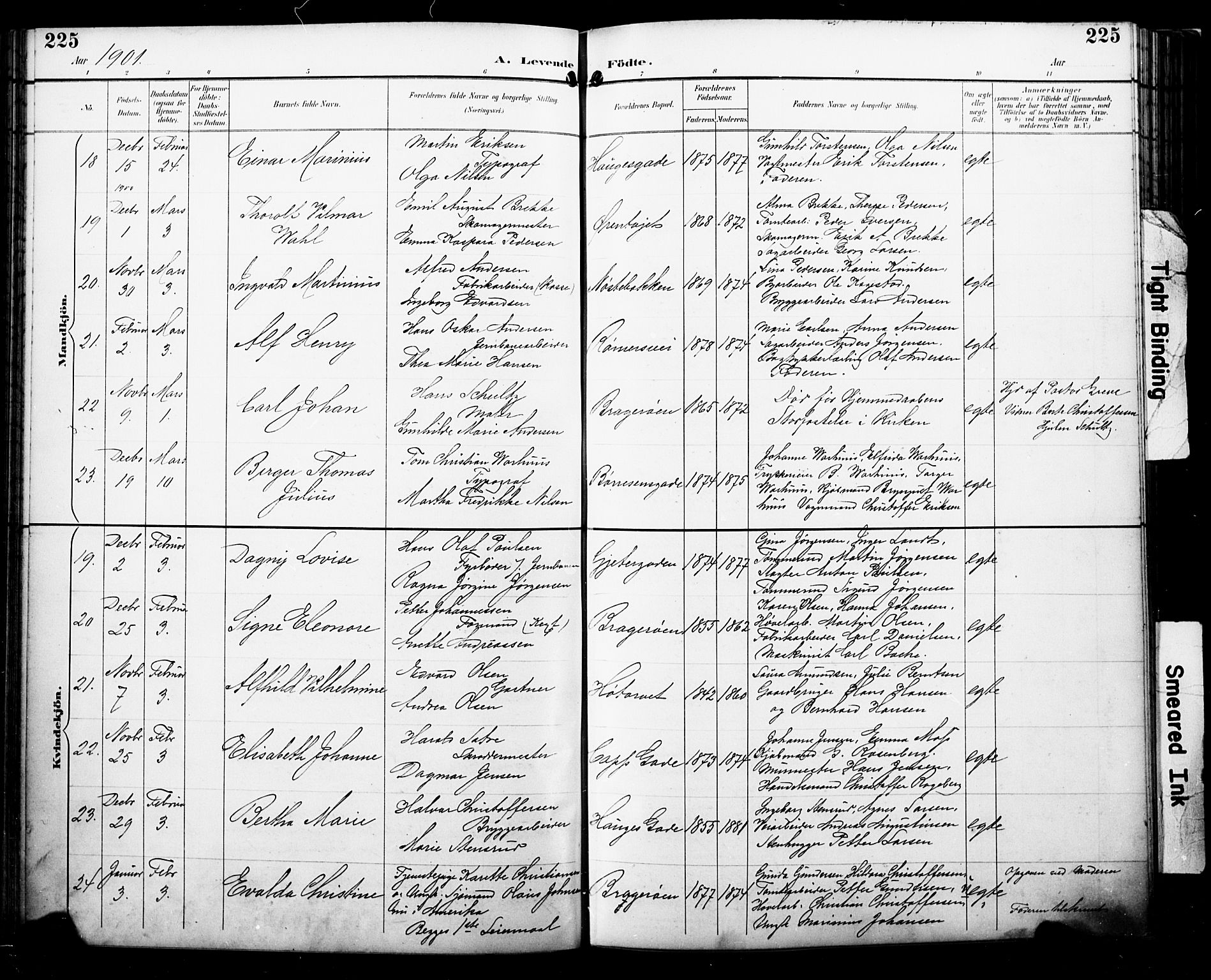 Bragernes kirkebøker, AV/SAKO-A-6/F/Fb/L0008: Parish register (official) no. II 8, 1894-1902, p. 225