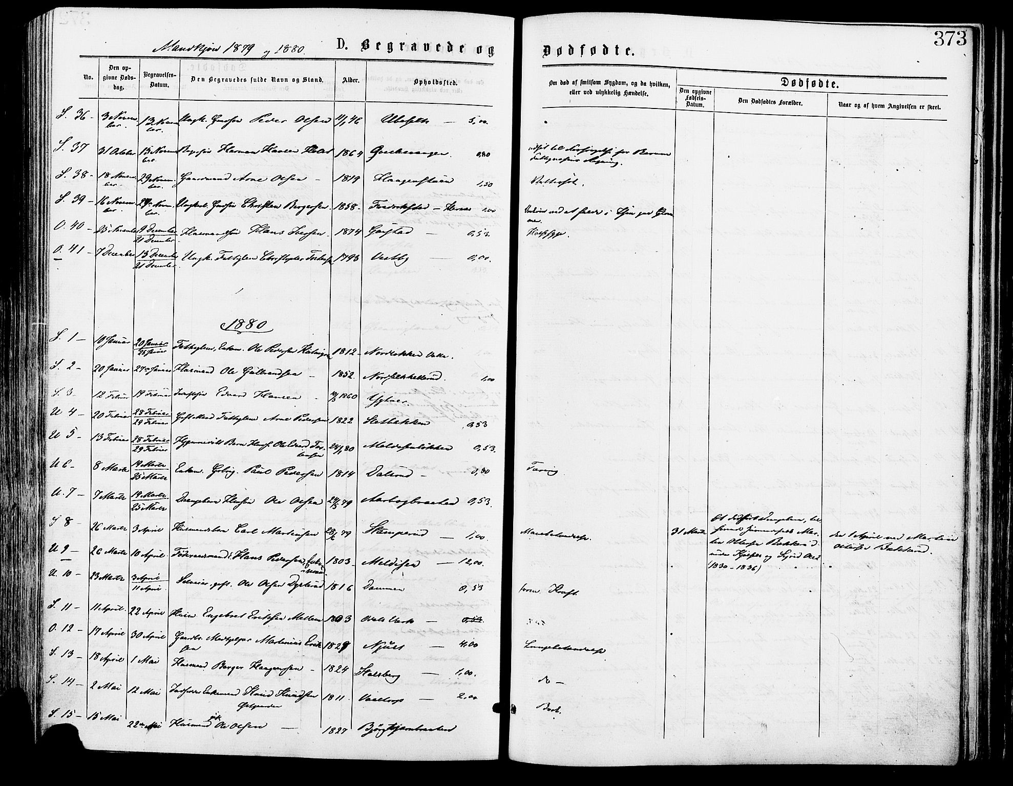 Sør-Odal prestekontor, SAH/PREST-030/H/Ha/Haa/L0005: Parish register (official) no. 5, 1876-1885, p. 373