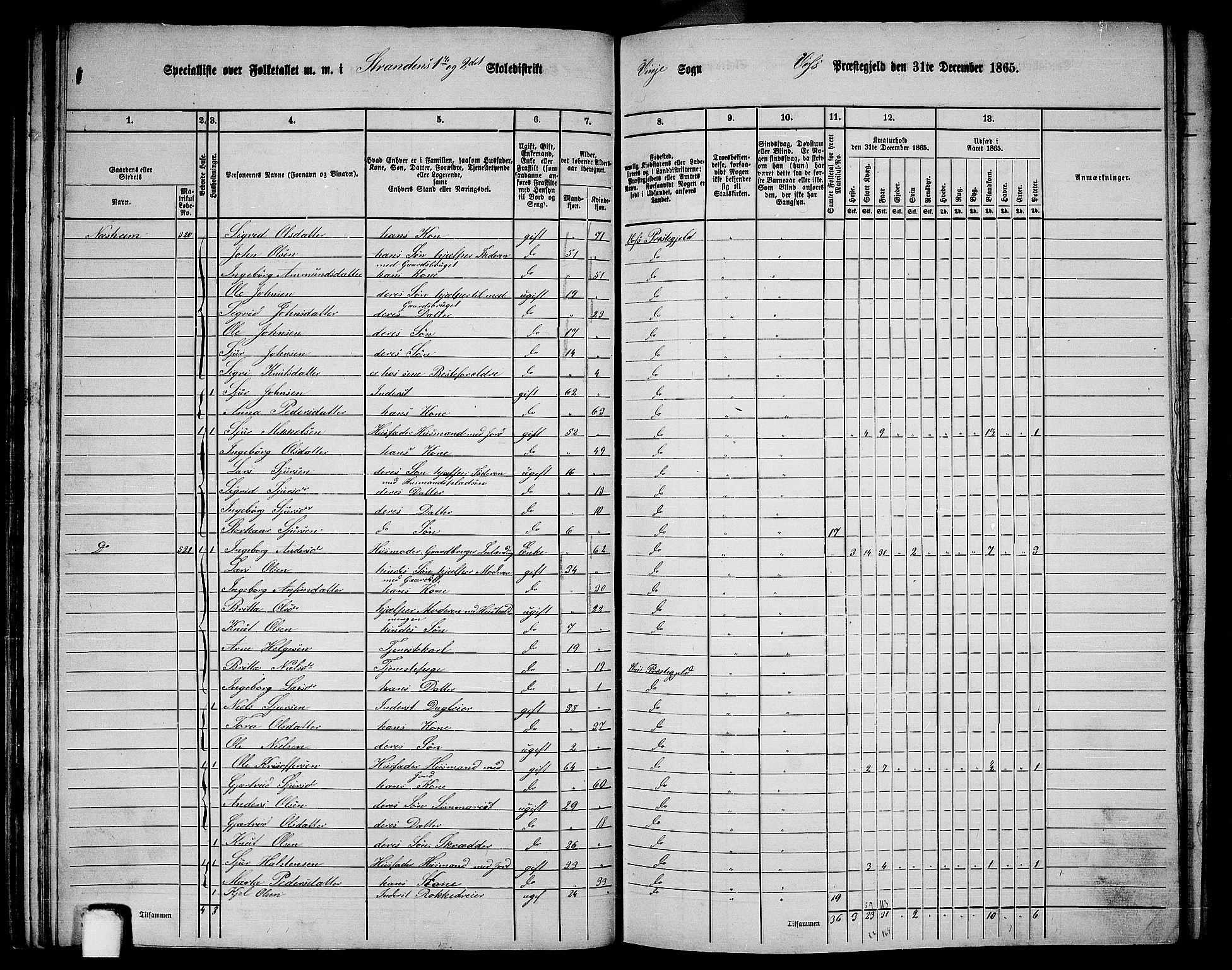 RA, 1865 census for Voss, 1865, p. 285