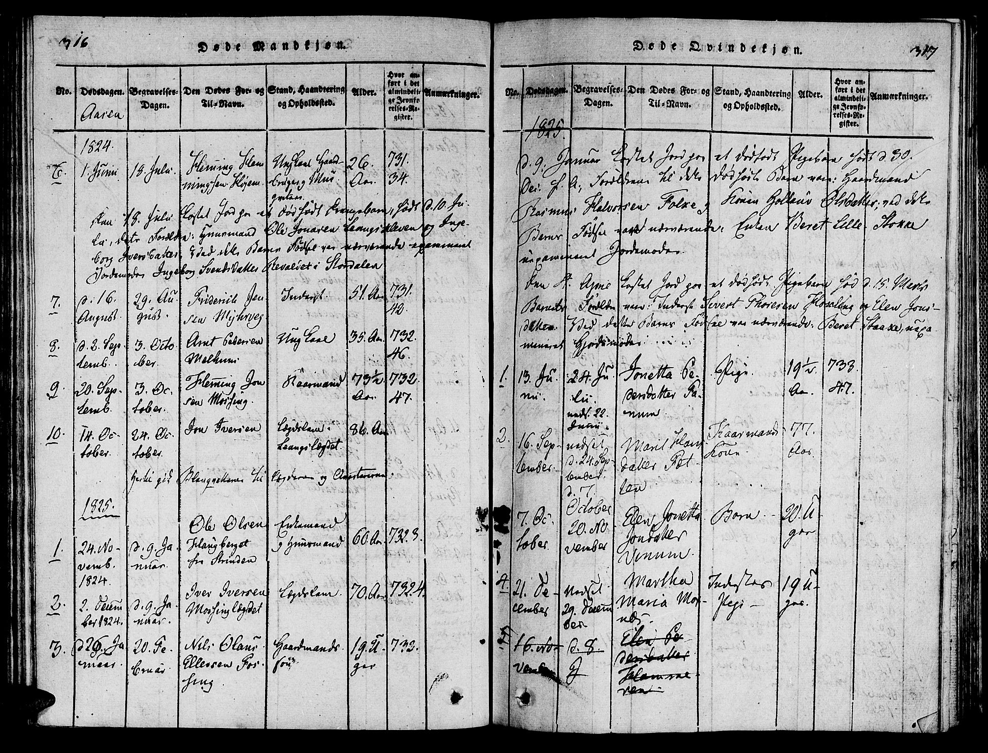 Ministerialprotokoller, klokkerbøker og fødselsregistre - Nord-Trøndelag, SAT/A-1458/713/L0112: Parish register (official) no. 713A04 /2, 1817-1827, p. 316-317