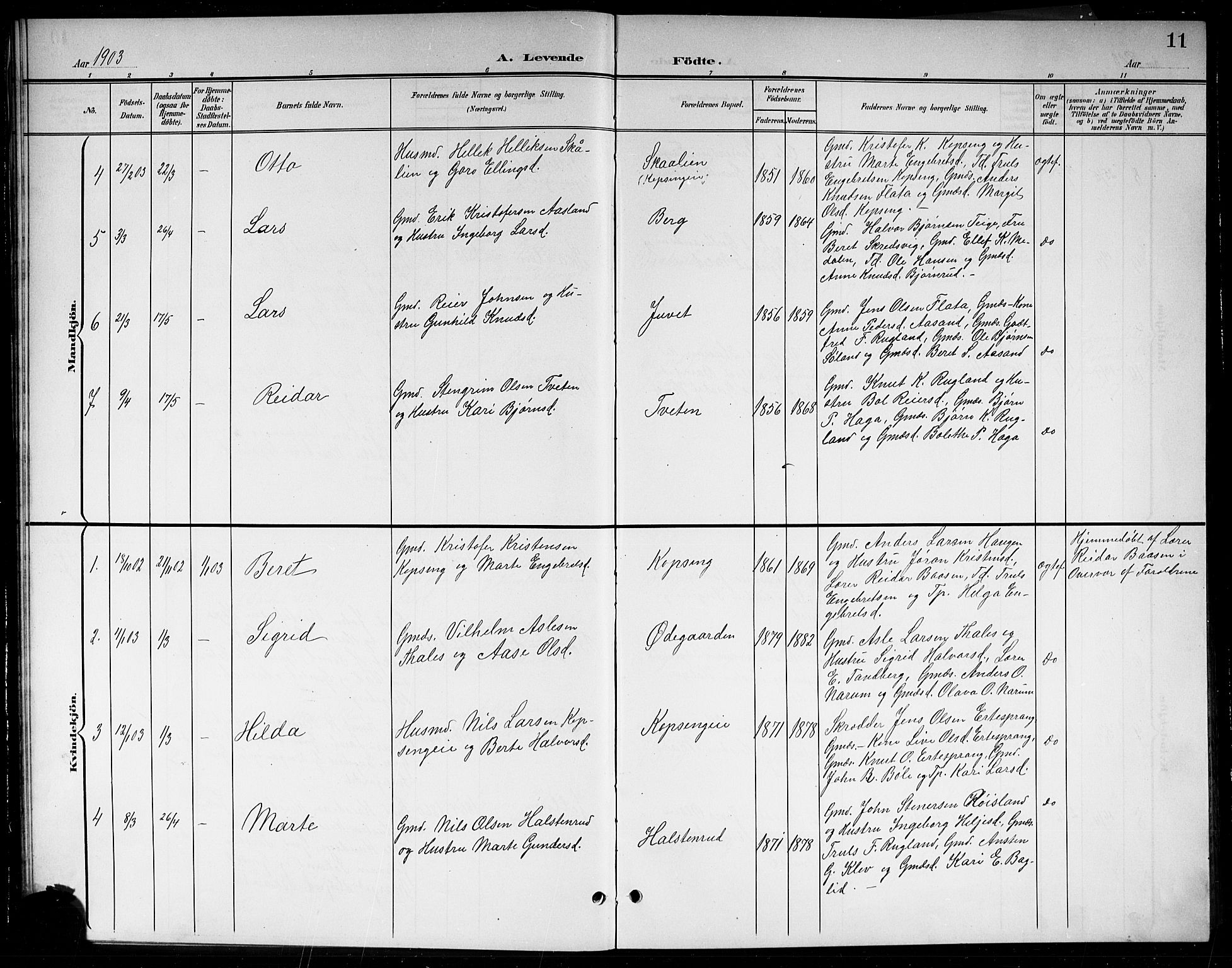Sigdal kirkebøker, SAKO/A-245/G/Gb/L0003: Parish register (copy) no. II 3, 1901-1916, p. 11