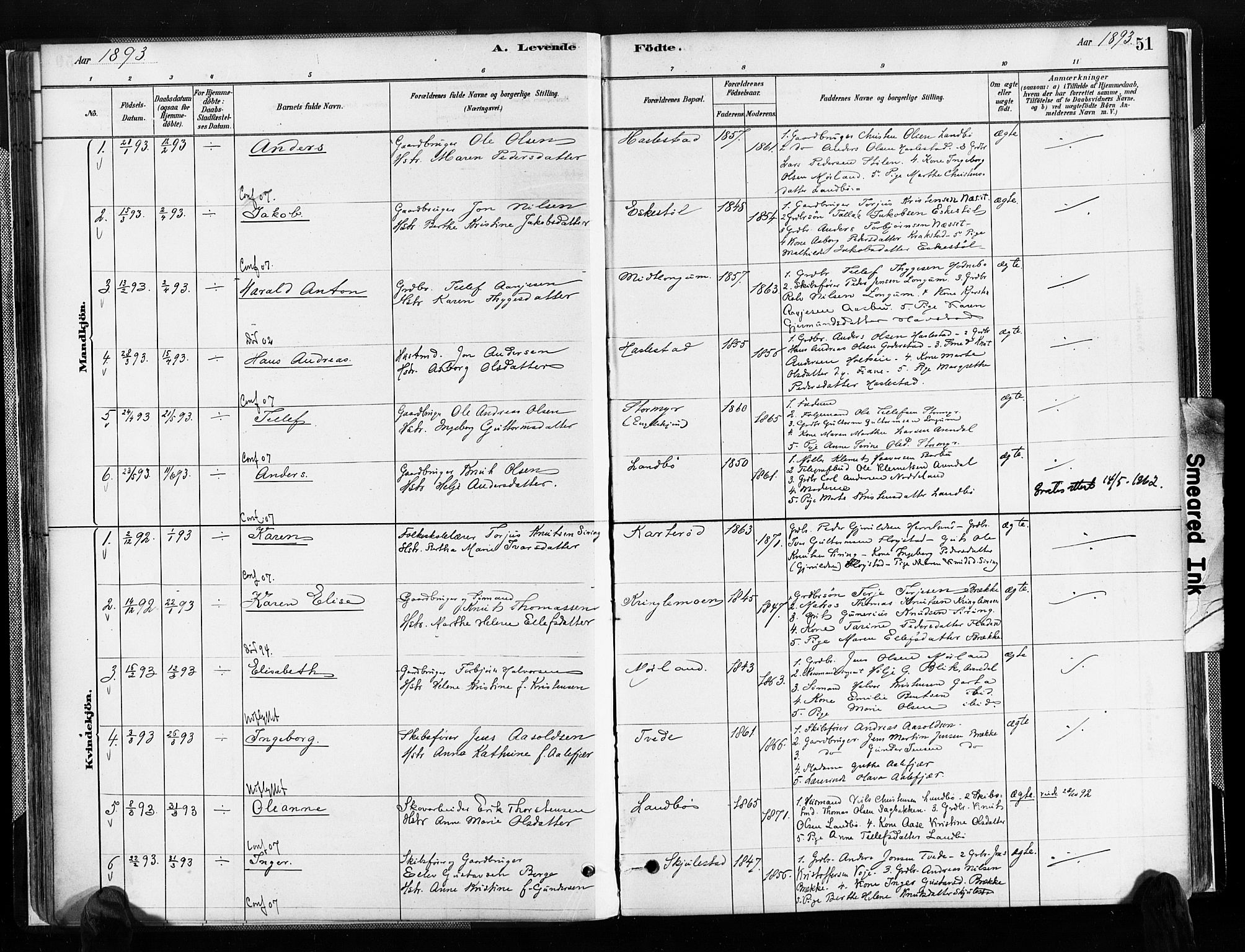 Austre Moland sokneprestkontor, SAK/1111-0001/F/Fa/Faa/L0010: Parish register (official) no. A 10, 1880-1904, p. 51