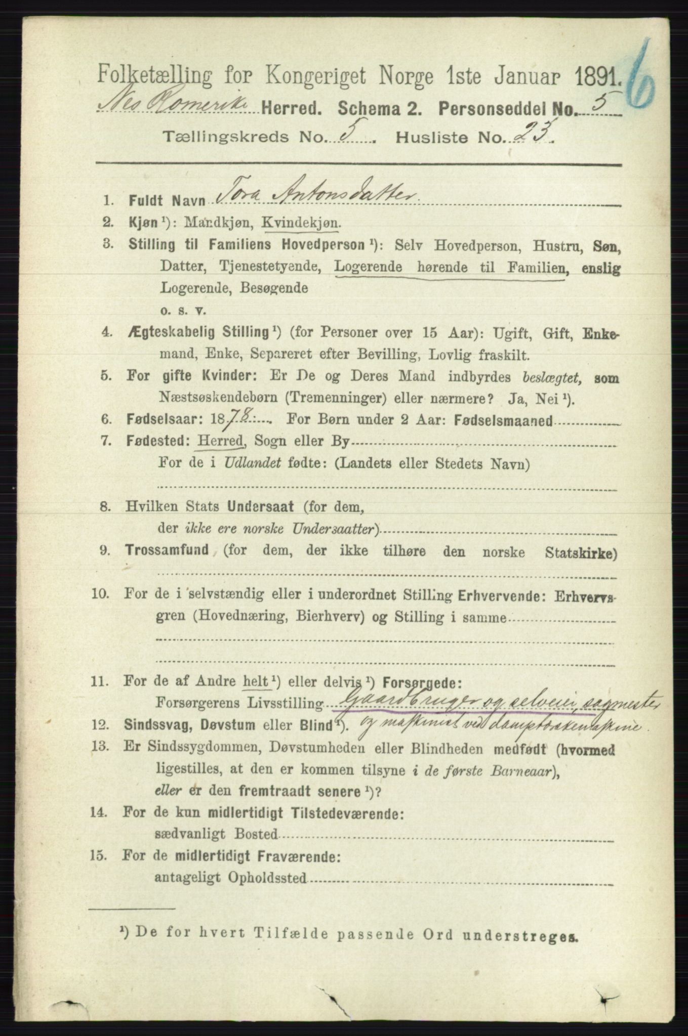 RA, 1891 census for 0236 Nes, 1891, p. 2920