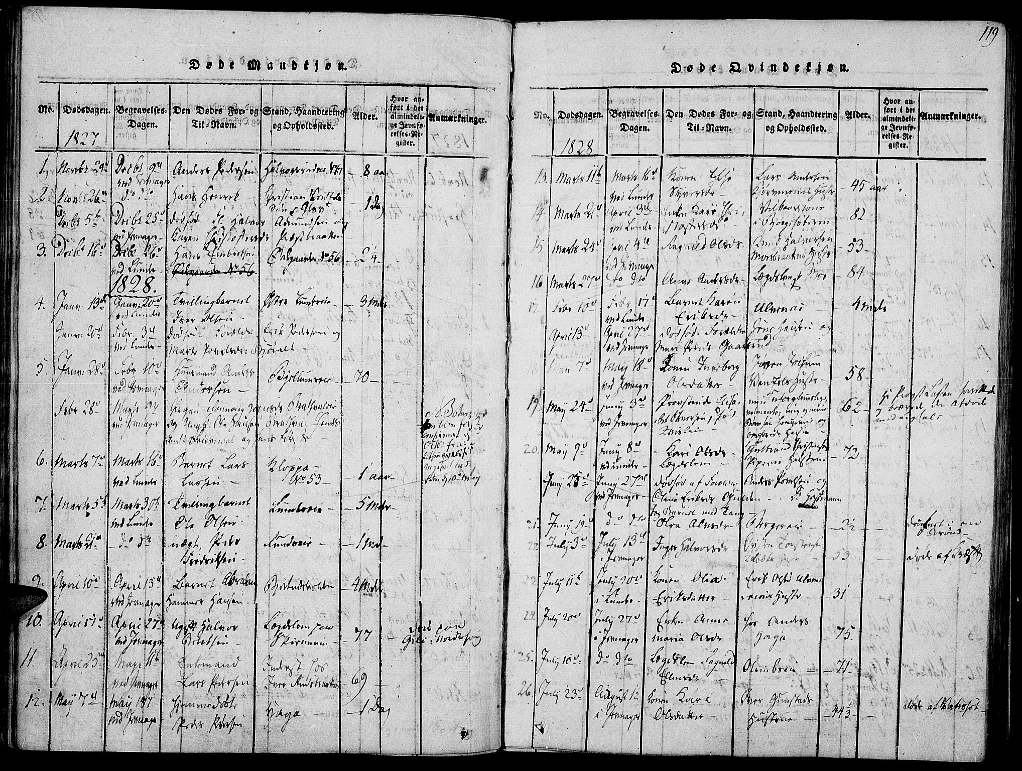 Jevnaker prestekontor, SAH/PREST-116/H/Ha/Haa/L0005: Parish register (official) no. 5, 1815-1837, p. 119