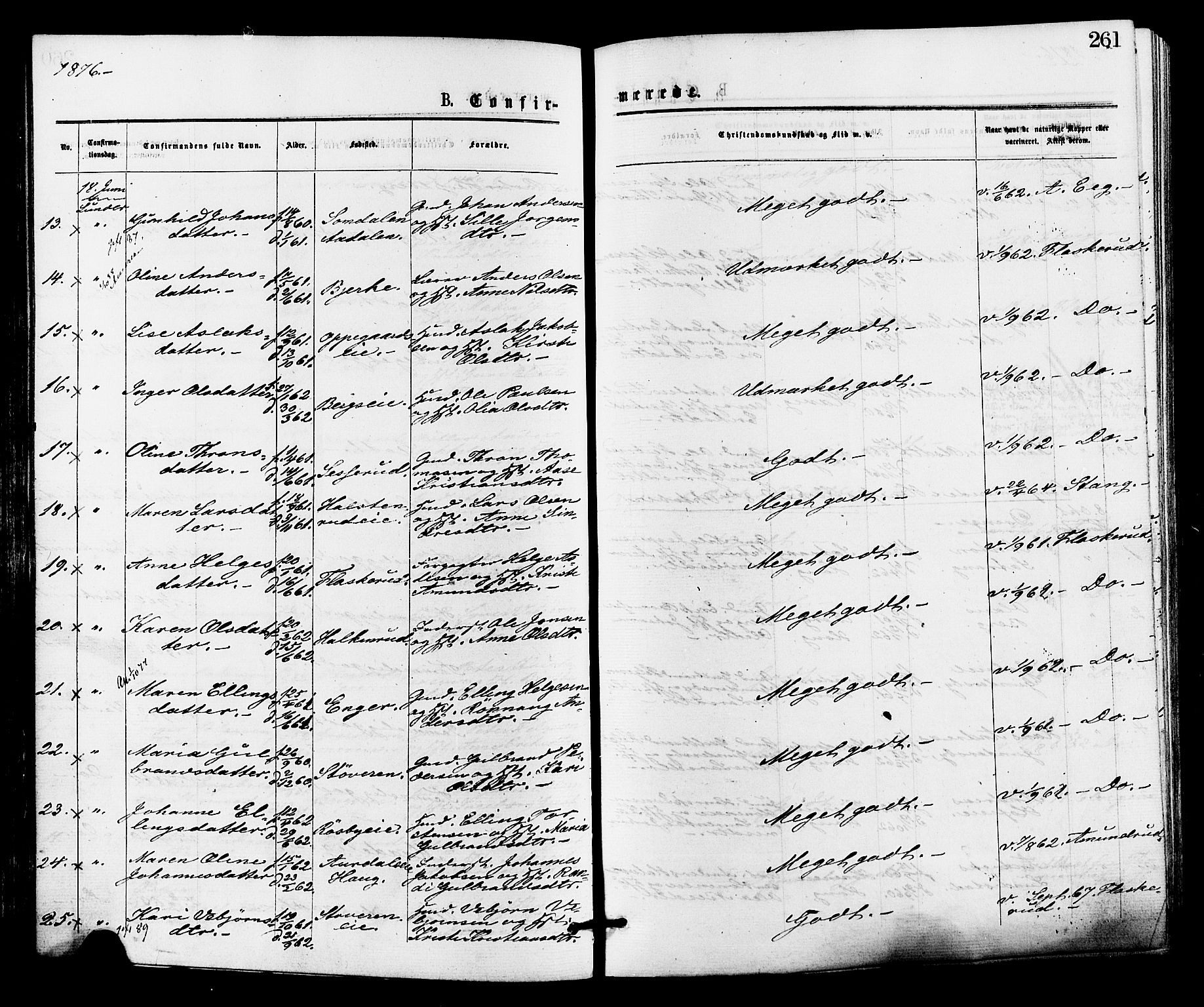 Norderhov kirkebøker, AV/SAKO-A-237/F/Fa/L0015: Parish register (official) no. 15, 1875-1884, p. 261