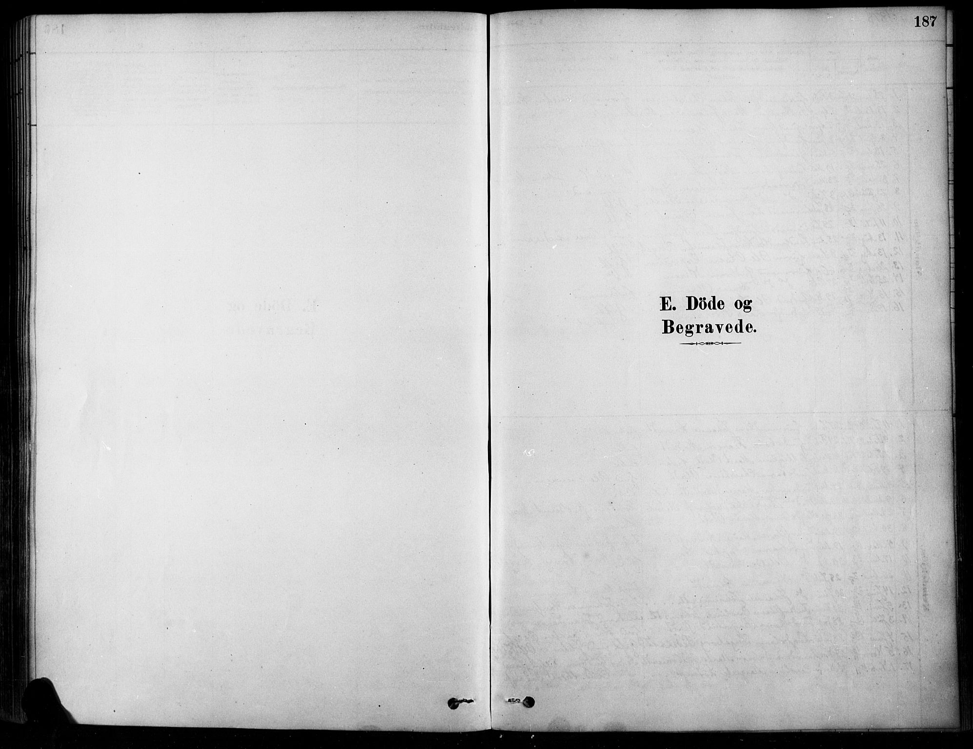 Søndre Land prestekontor, SAH/PREST-122/K/L0003: Parish register (official) no. 3, 1878-1894, p. 187