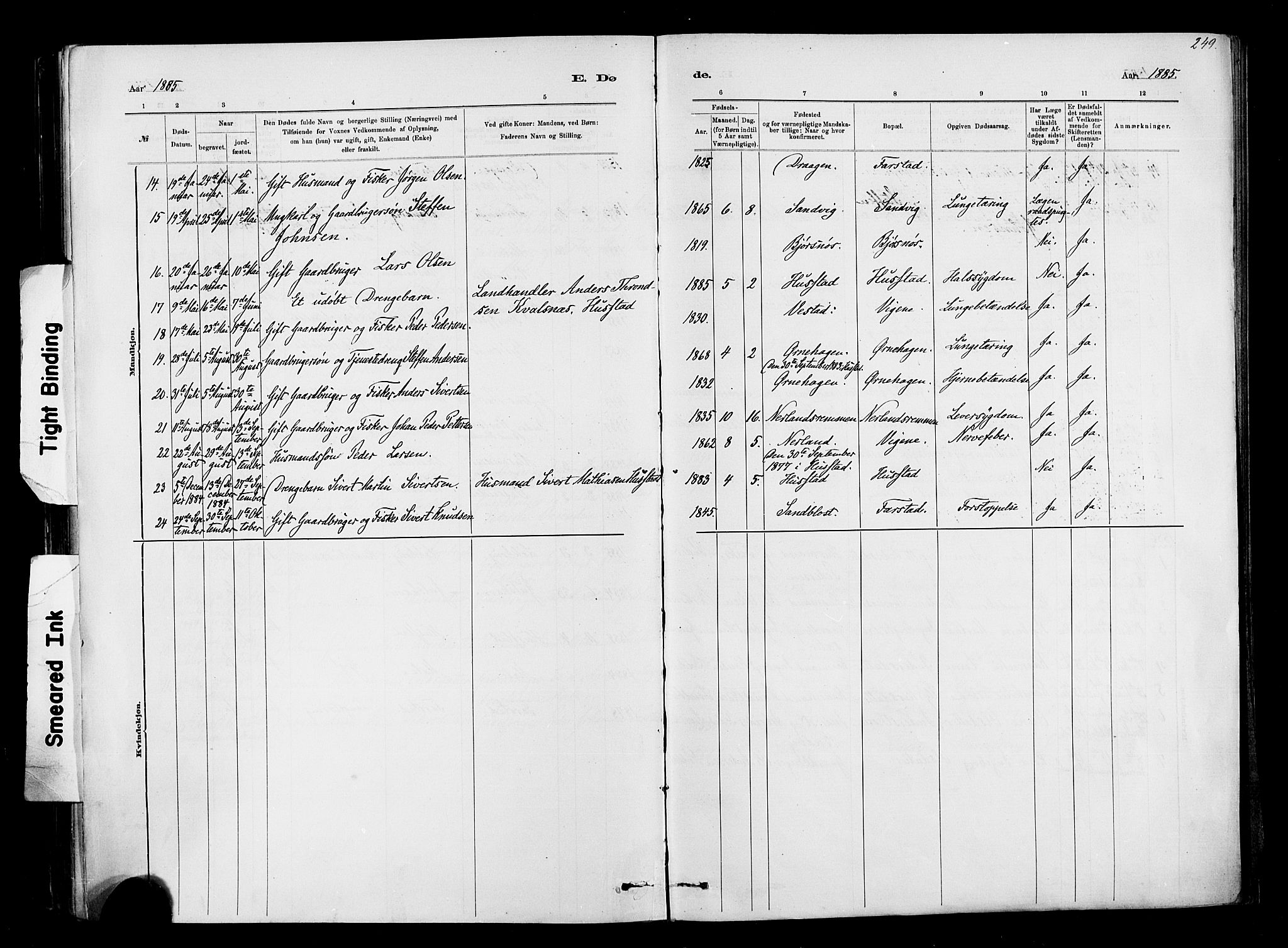 Ministerialprotokoller, klokkerbøker og fødselsregistre - Møre og Romsdal, AV/SAT-A-1454/567/L0778: Parish register (official) no. 567A01, 1881-1903, p. 249