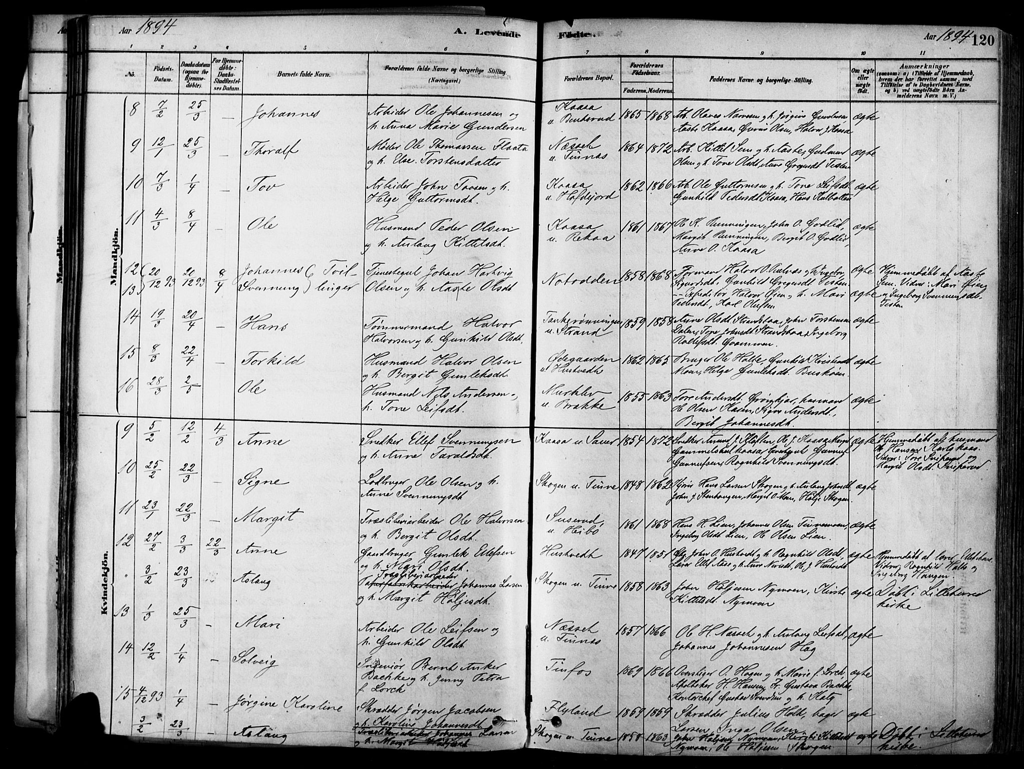 Heddal kirkebøker, SAKO/A-268/F/Fa/L0008: Parish register (official) no. I 8, 1878-1903, p. 120
