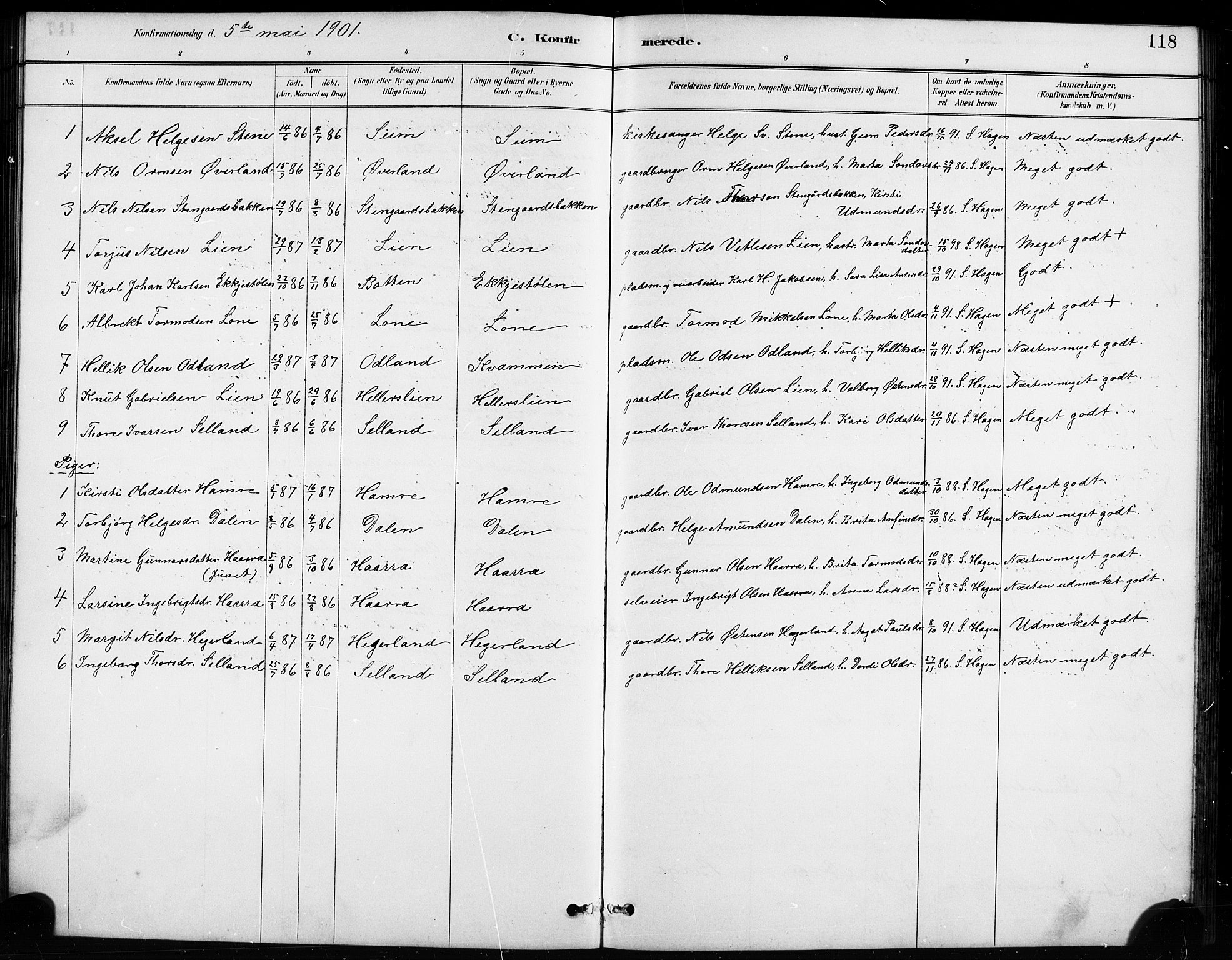 Røldal sokneprestembete, SAB/A-100247: Parish register (copy) no. A 3, 1887-1917, p. 118
