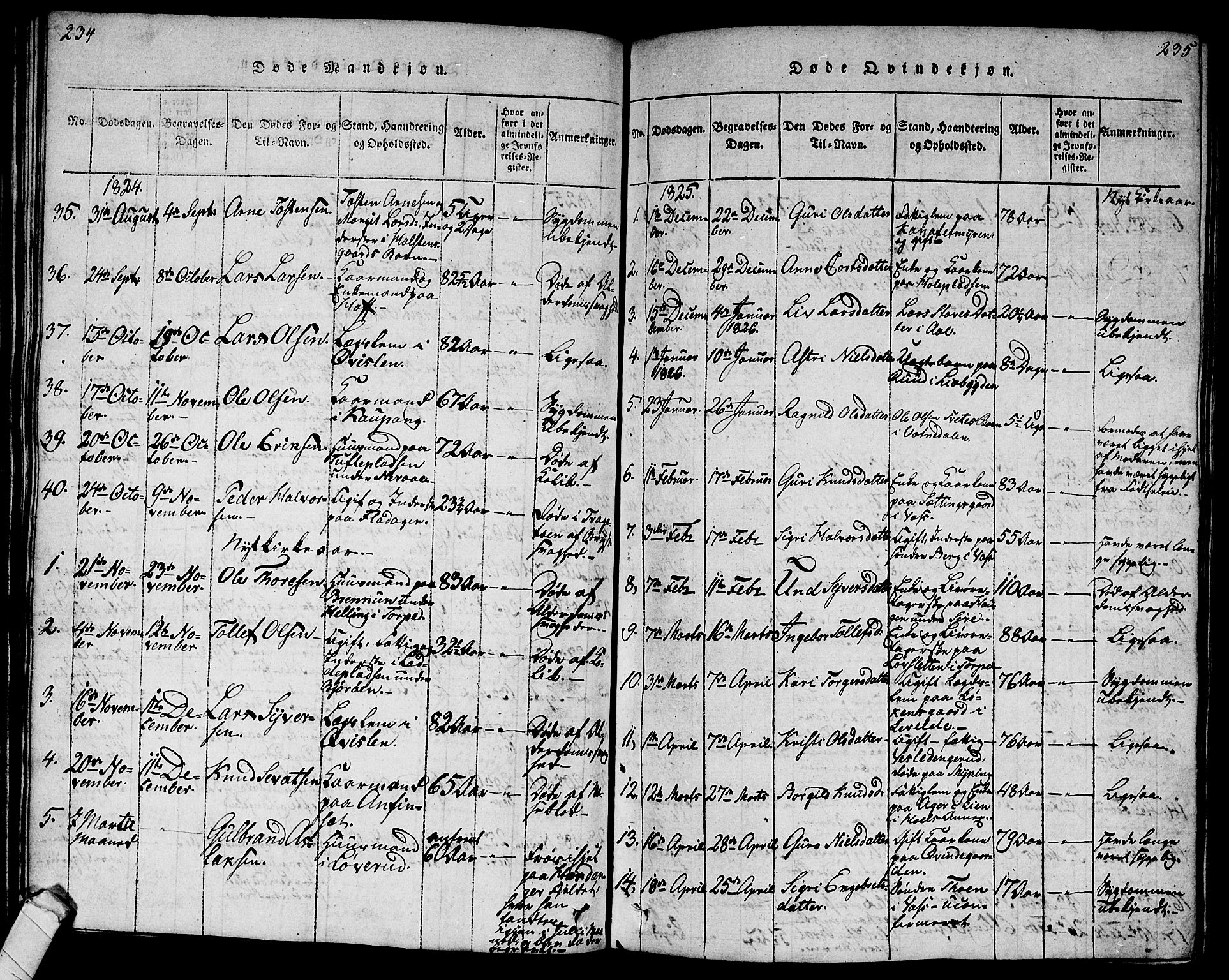 Ål kirkebøker, AV/SAKO-A-249/G/Ga/L0001: Parish register (copy) no. 1, 1815-1829, p. 234-235