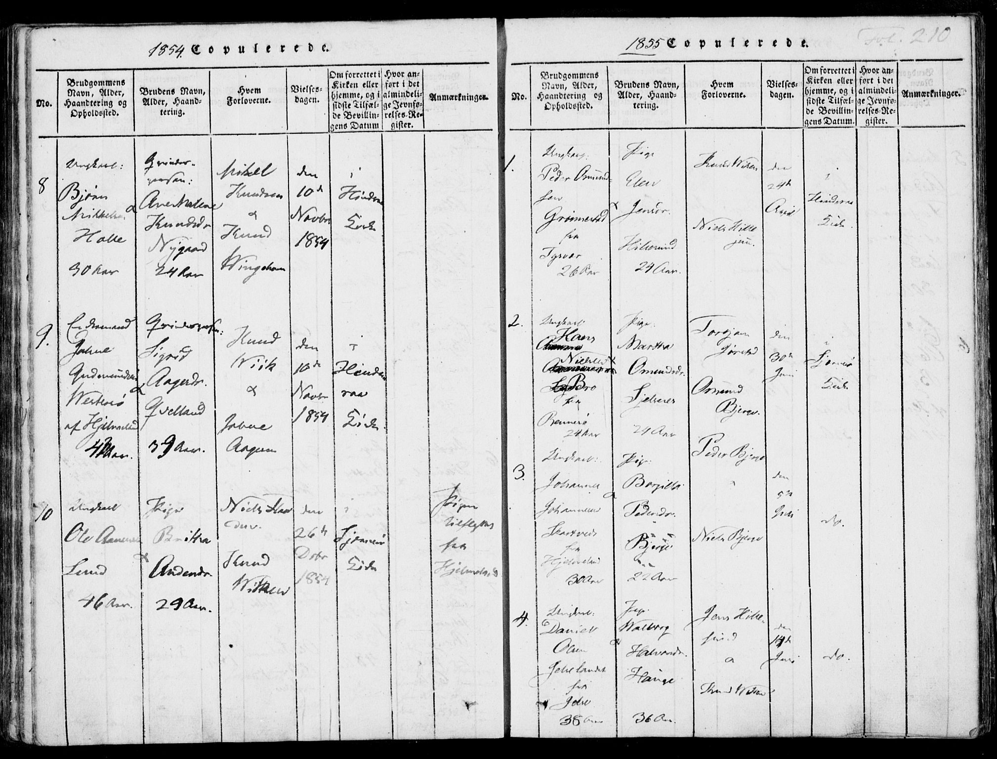 Nedstrand sokneprestkontor, AV/SAST-A-101841/01/IV: Parish register (official) no. A 7, 1816-1870, p. 210